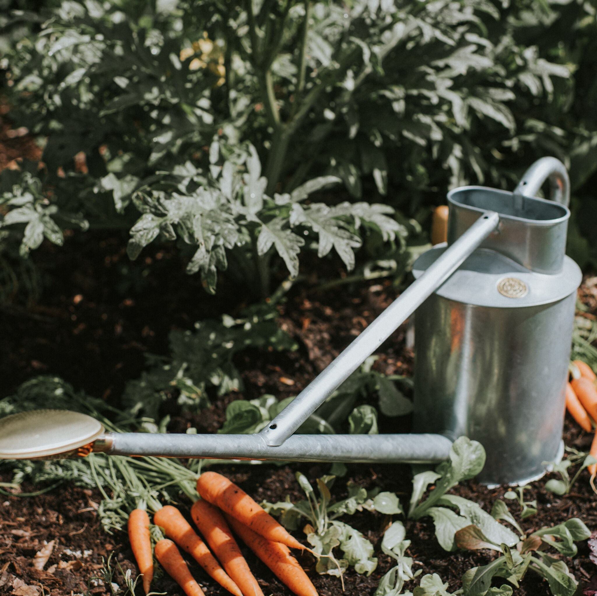 The Warley Fall HDG - Galvanised - Growing Kit - Two Gallon