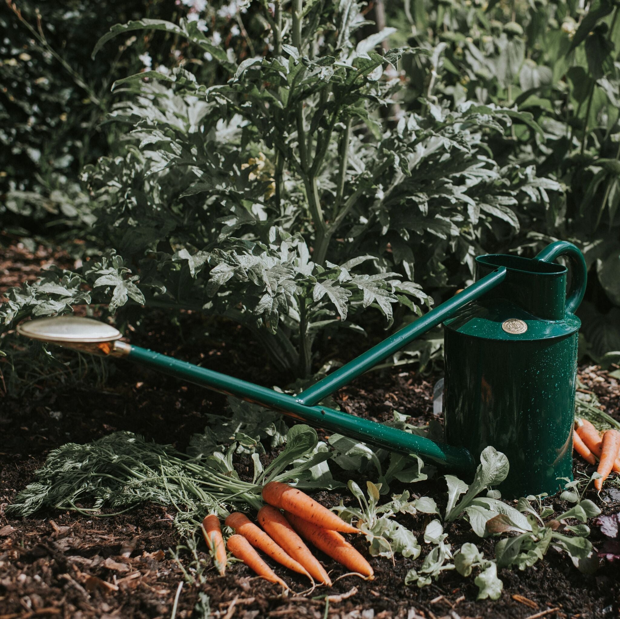 The Warley Fall HDG - Green - Growing Kit - Two Gallon