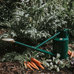 The Warley Fall HDG - Two Gallon Green