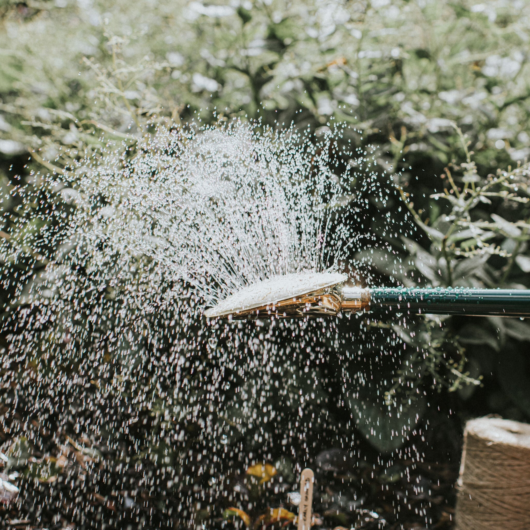 The Warley Fall HDG - Two Gallon Green