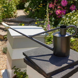 The Warley Fall - Graphite - Growing Kit - One Gallon