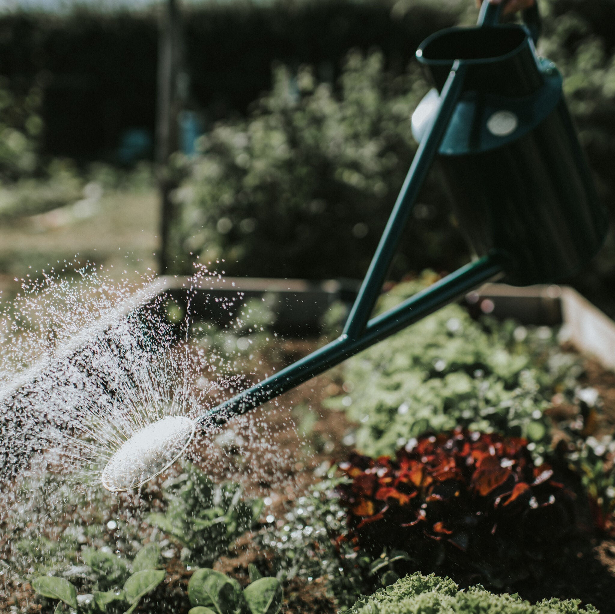 The Warley Fall - Green - Full Monty Kit - One Gallon