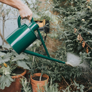 The Warley Fall - One Gallon in Green