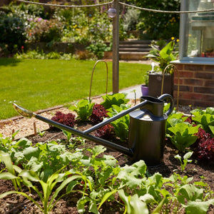 The Warley Fall - Graphite - Growing Kit - Two Gallon