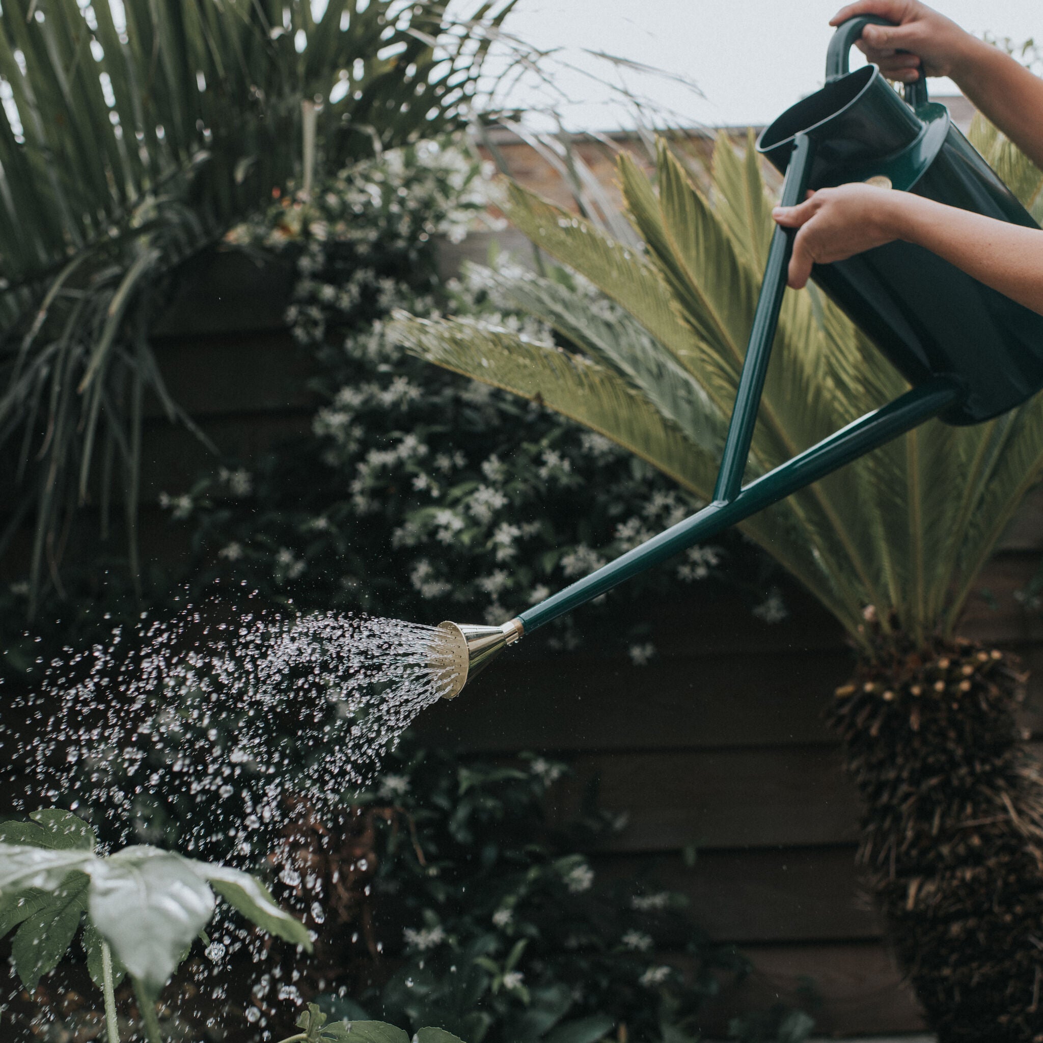 The Warley Fall - Green - Full Monty Kit - Two Gallon