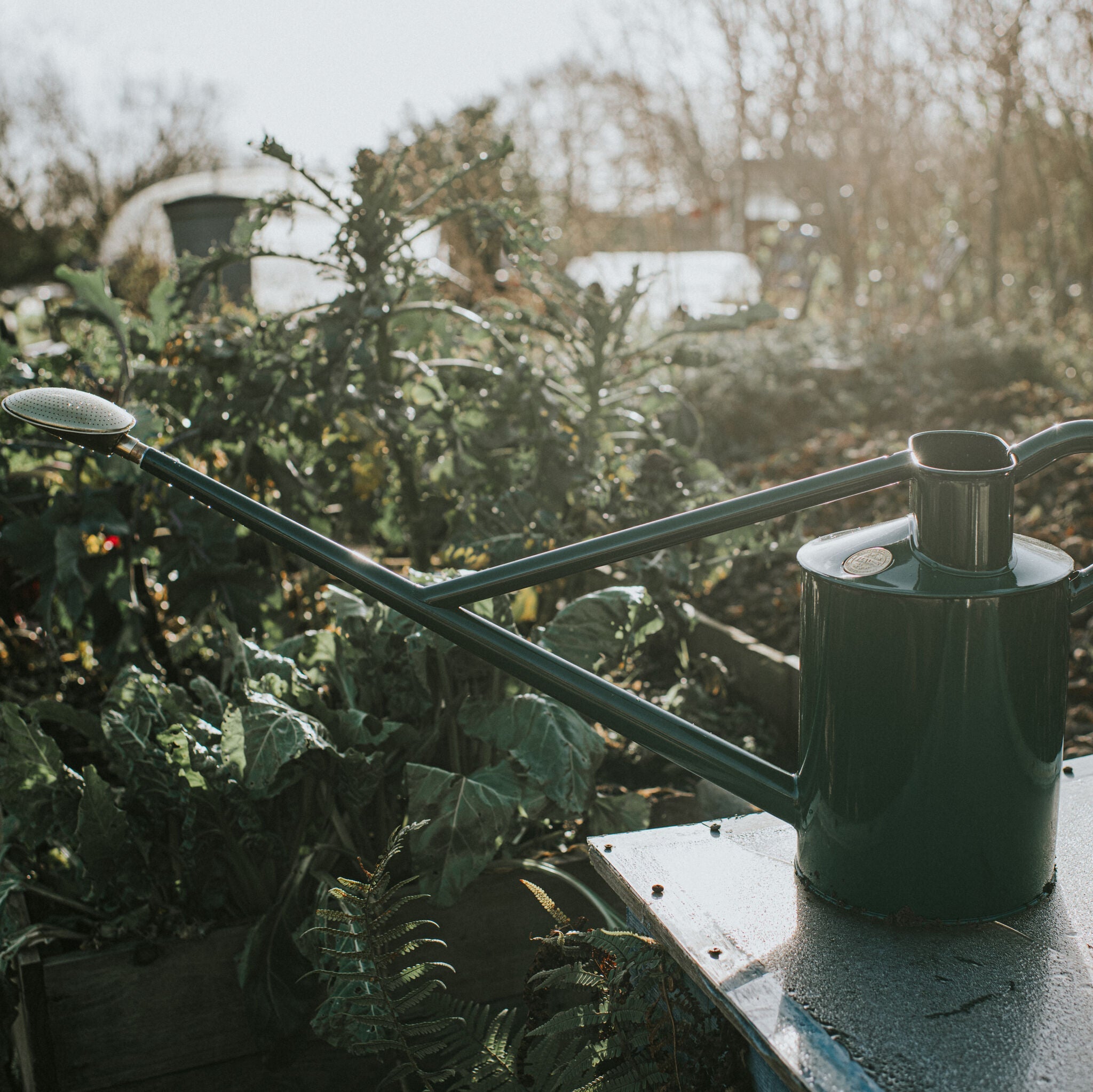 The Warley Fall - Green - Starter Kit - Two Gallon