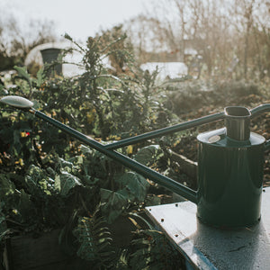 The Warley Fall - Green - Starter Kit - Two Gallon