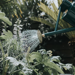 The Bearwood Brook Green - One Gallon