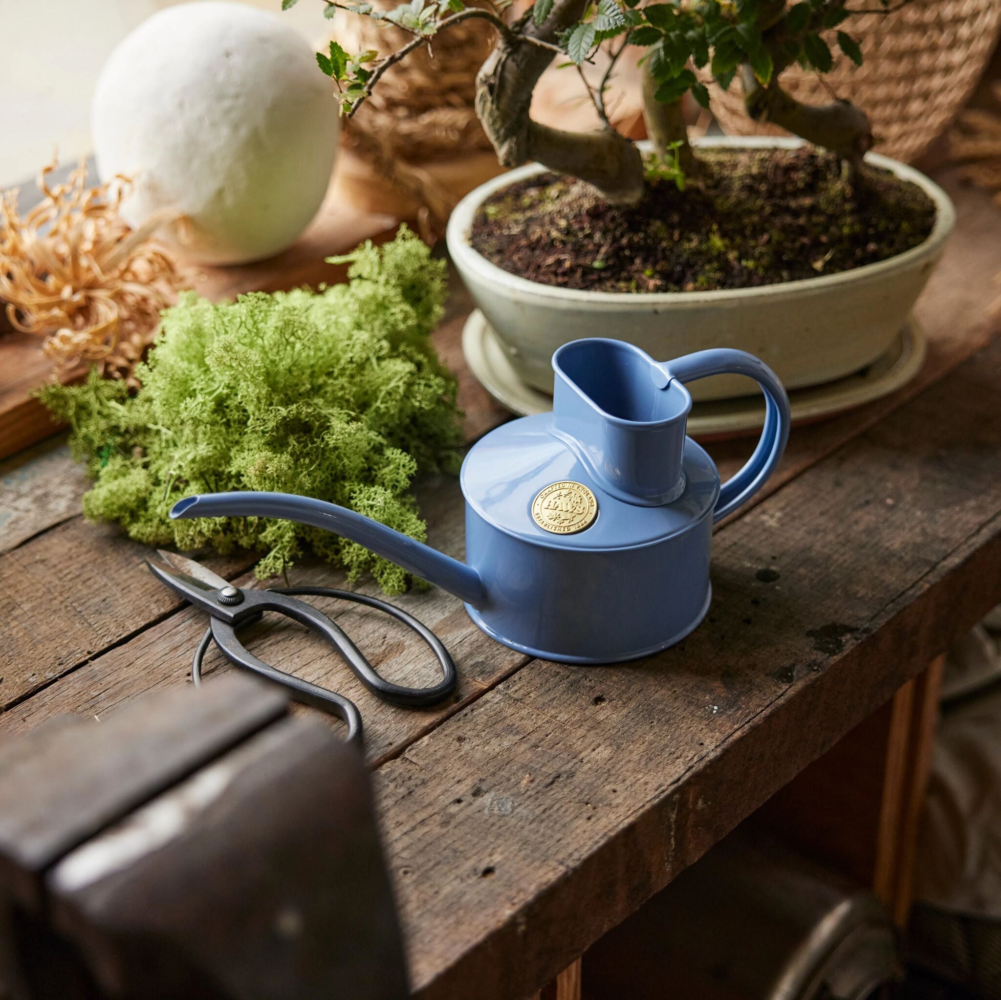 The Fazeley Flow - Houseplant Set - Bluebell Meadow & Brass - One Pint