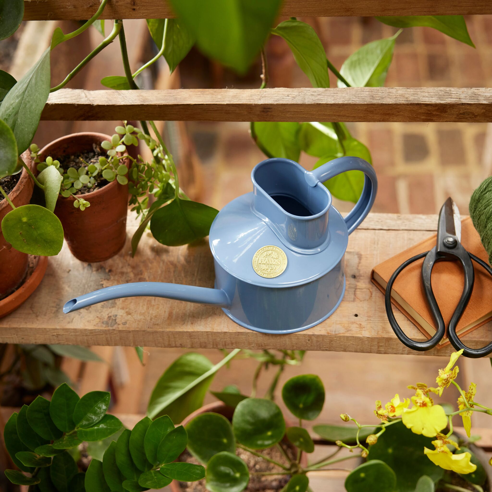 The Fazeley Flow - Houseplant Set - Bluebell Meadow & Brass - One Pint