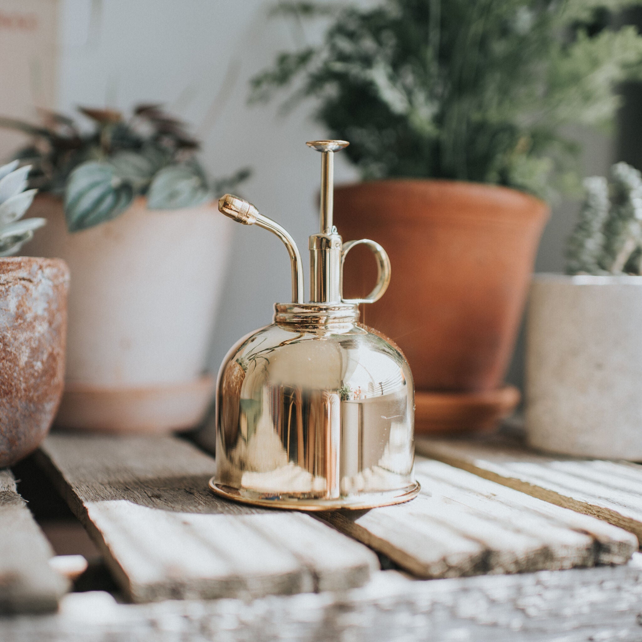 The Fazeley Flow - Houseplant Set - Graphite & Brass - One Pint