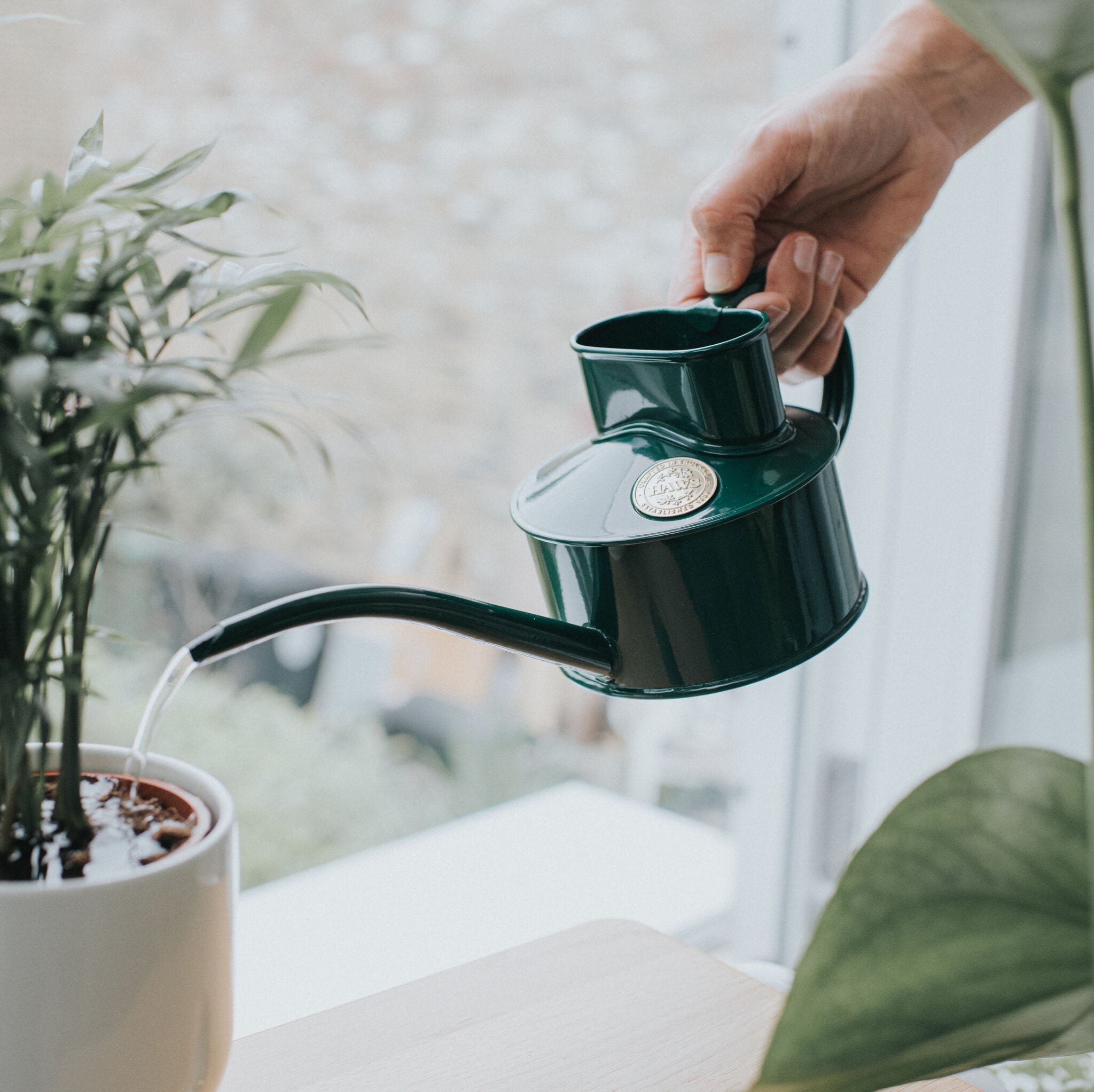 The Fazeley Flow - Houseplant Set - Green & Brass - One Pint