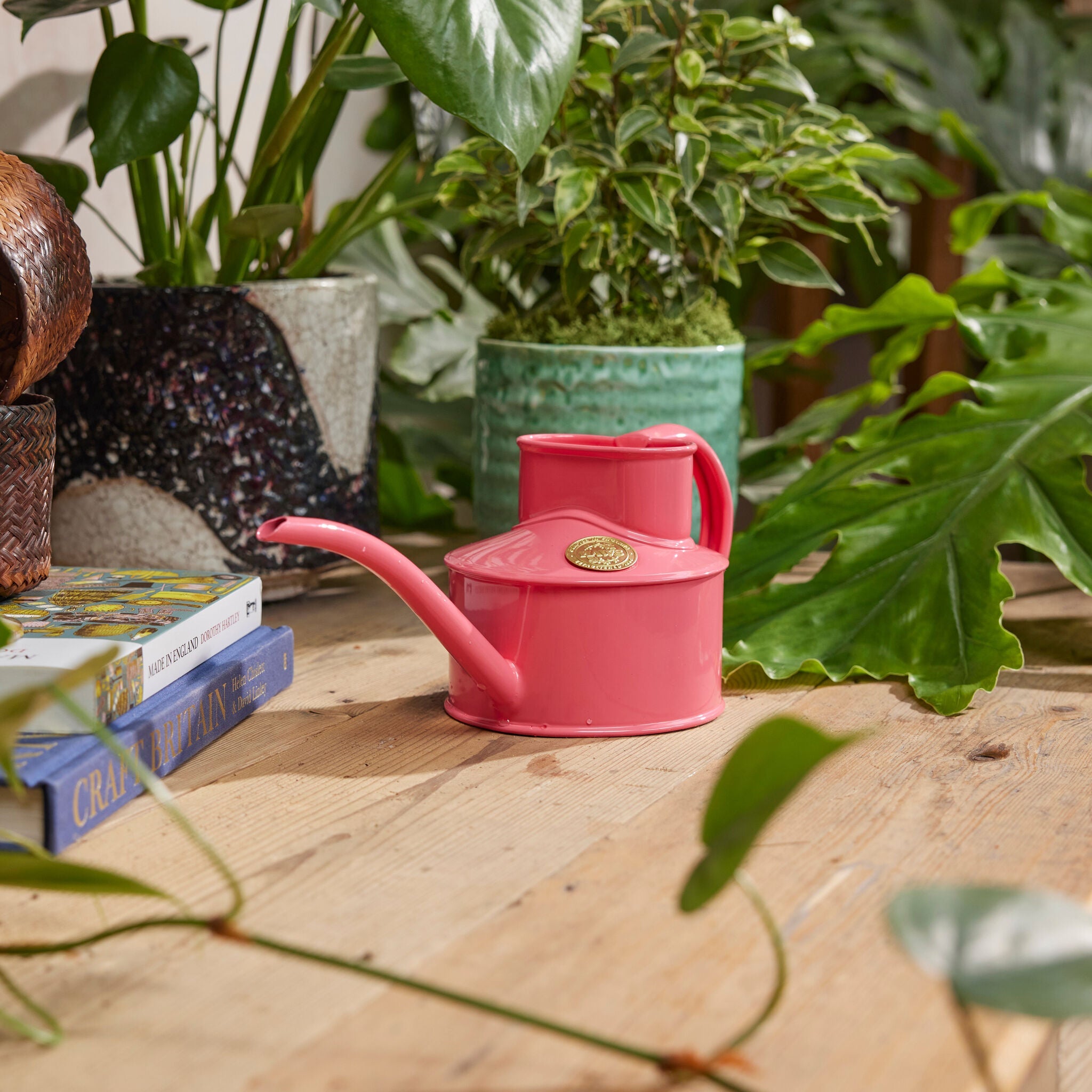 The Fazeley Flow - Houseplant Set - Peppercorn Pink & Brass - One Pint