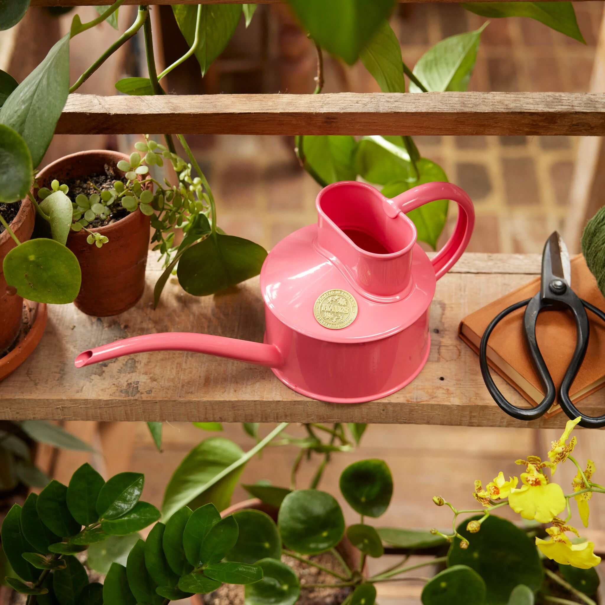 The Fazeley Flow - Houseplant Set - Peppercorn Pink & Brass - One Pint