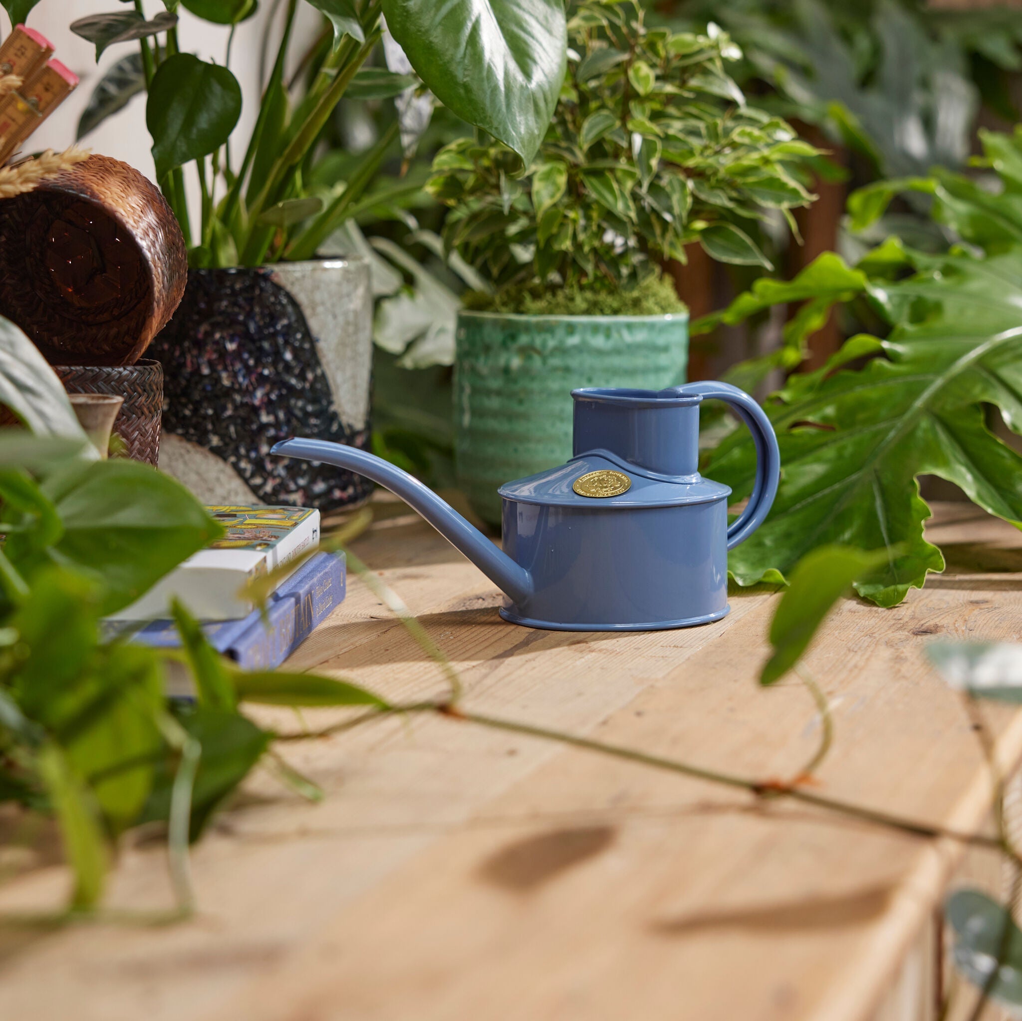 The Fazeley Flow - Houseplant Set - Bluebell Meadow & Copper - One Pint