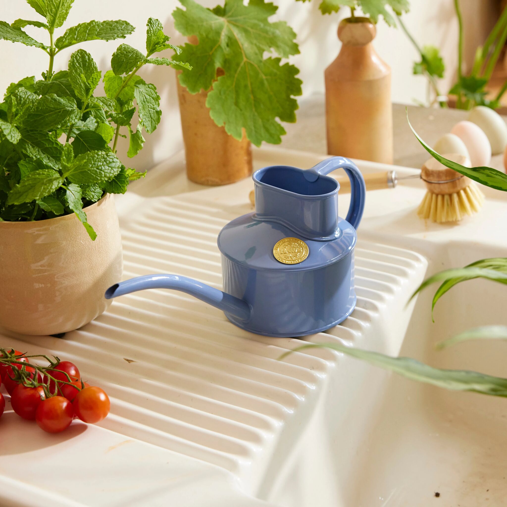 The Fazeley Flow - Houseplant Set - Bluebell Meadow & Copper - One Pint