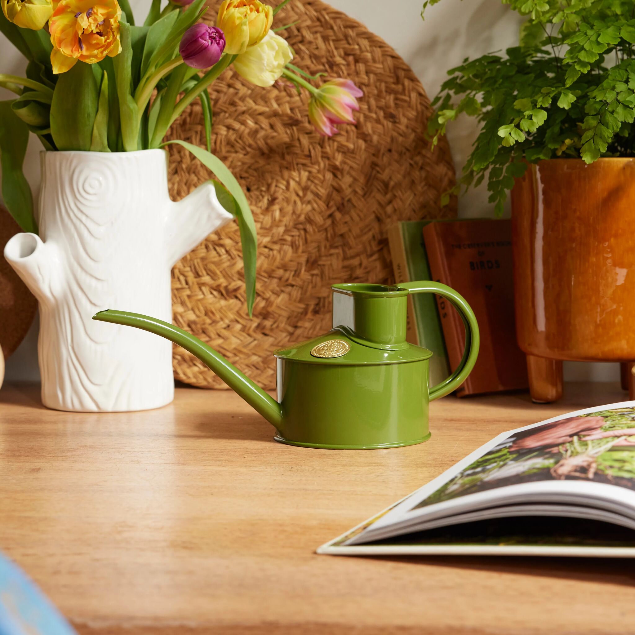 The Fazeley Flow - Houseplant Set - Fern Green & Copper - One Pint