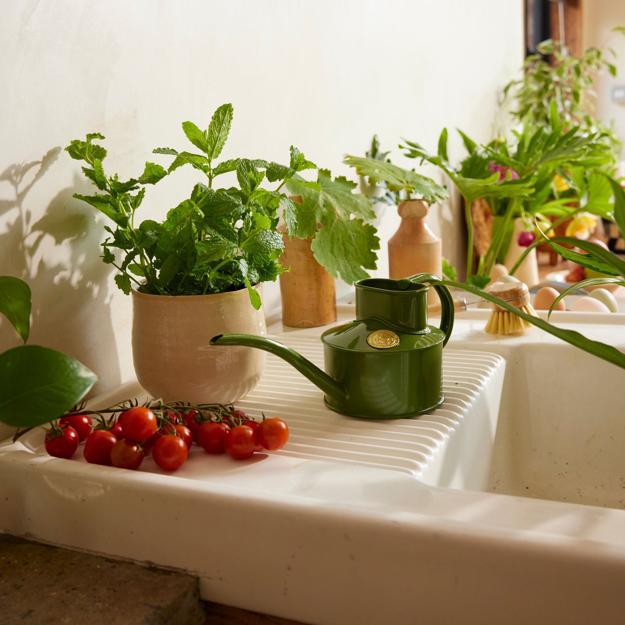 The Fazeley Flow - Houseplant Set - Fern Green & Copper - One Pint