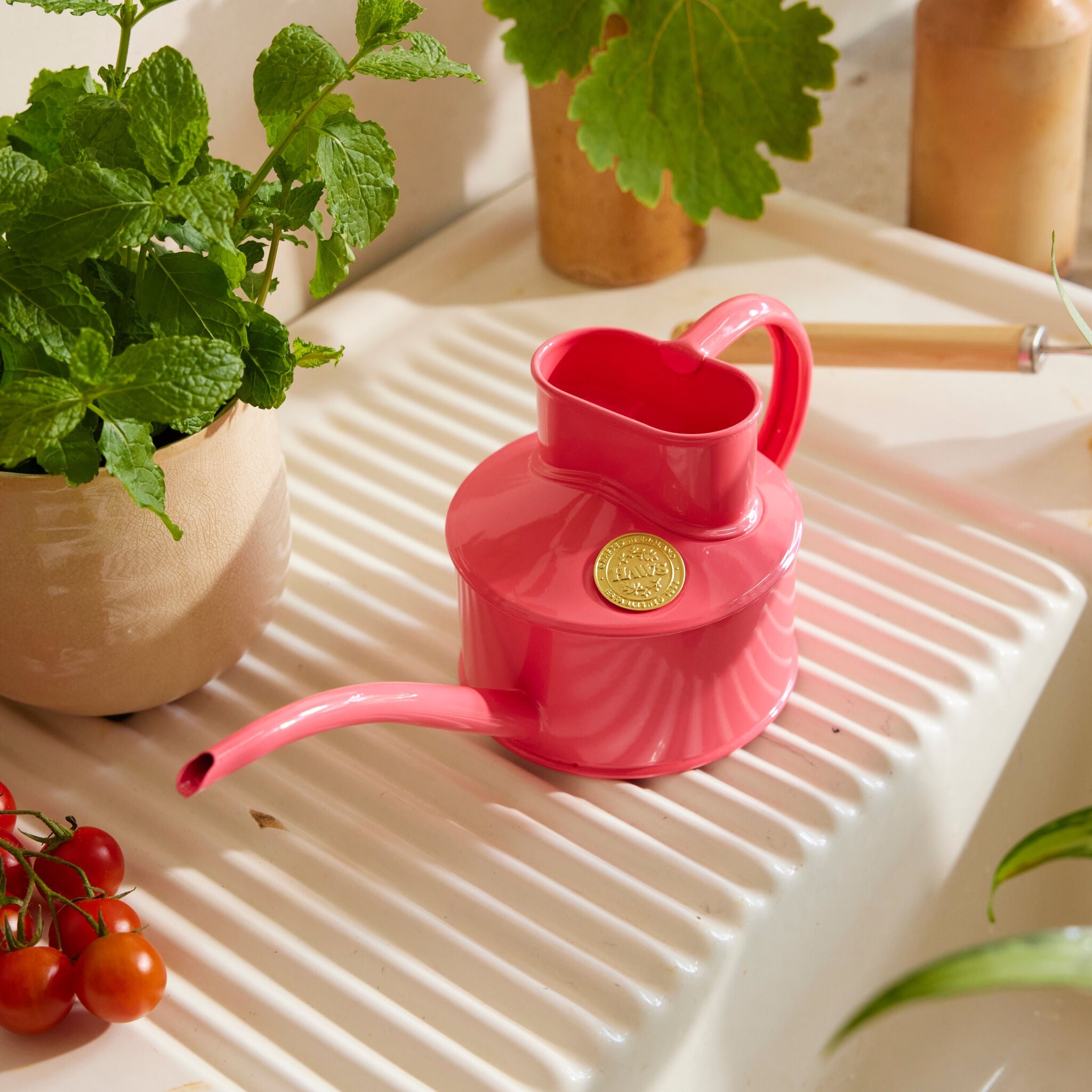 The Fazeley Flow - Houseplant Set - Peppercorn Pink & Copper - One Pint
