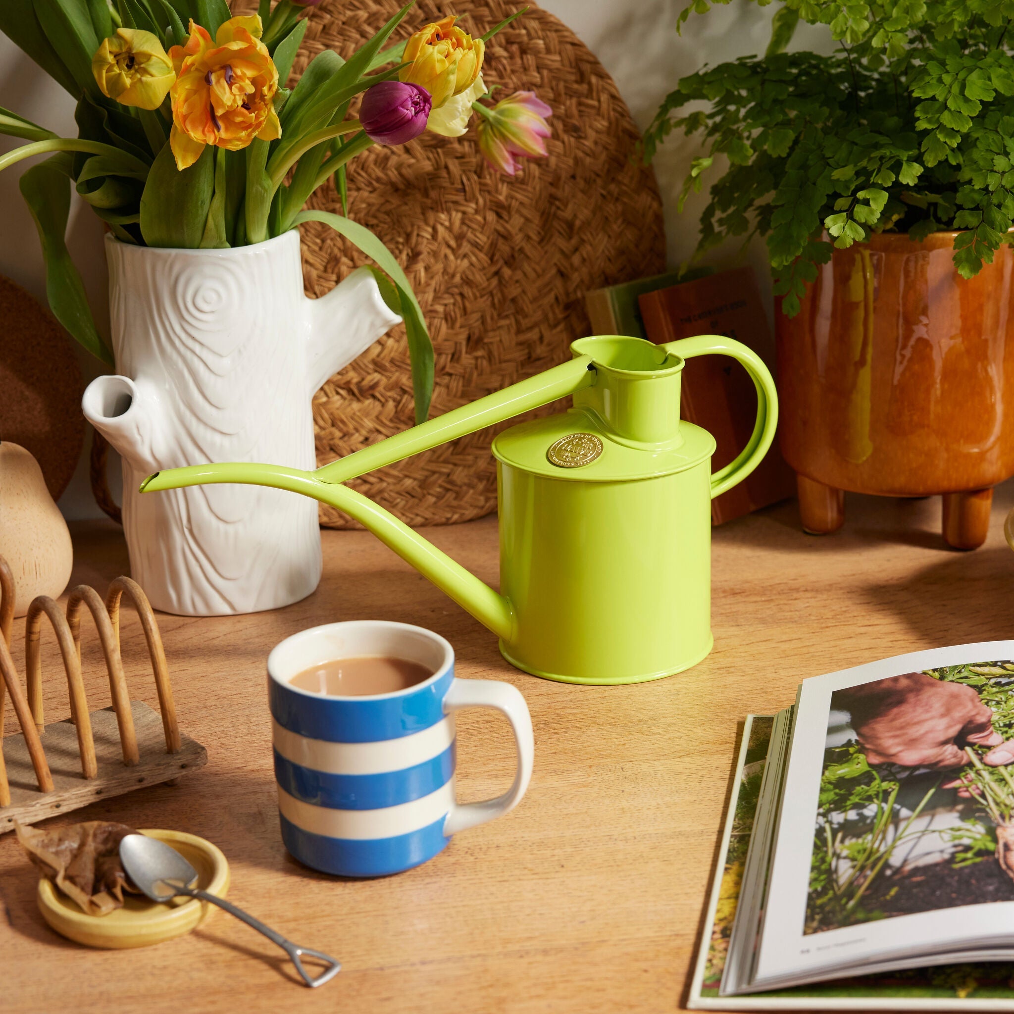 The Fazeley Flow - Houseplant Set - Apple Green & Brass - Two Pint