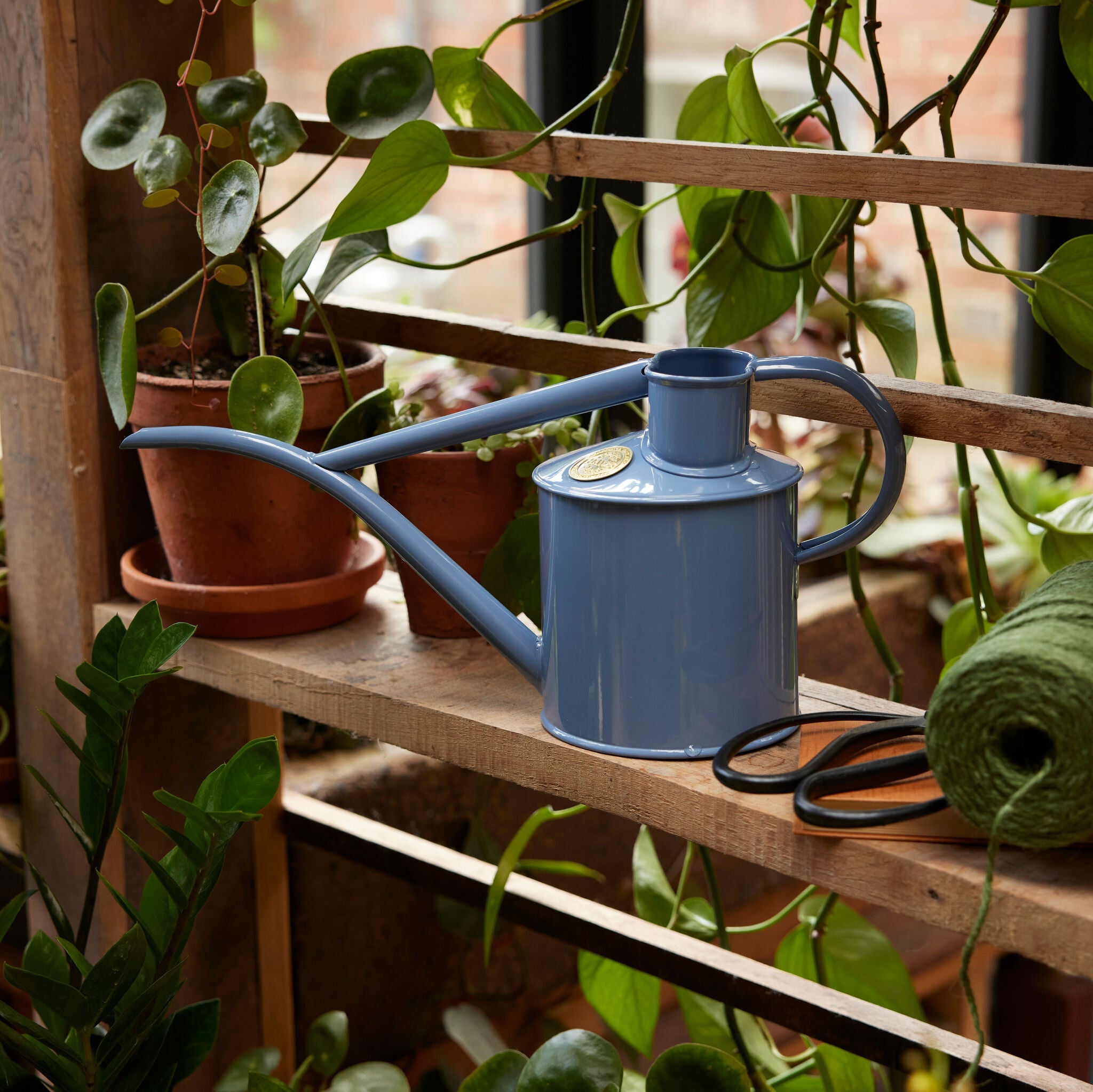 The Fazeley Flow - Houseplant Set - Bluebell Meadow & Brass - Two Pint