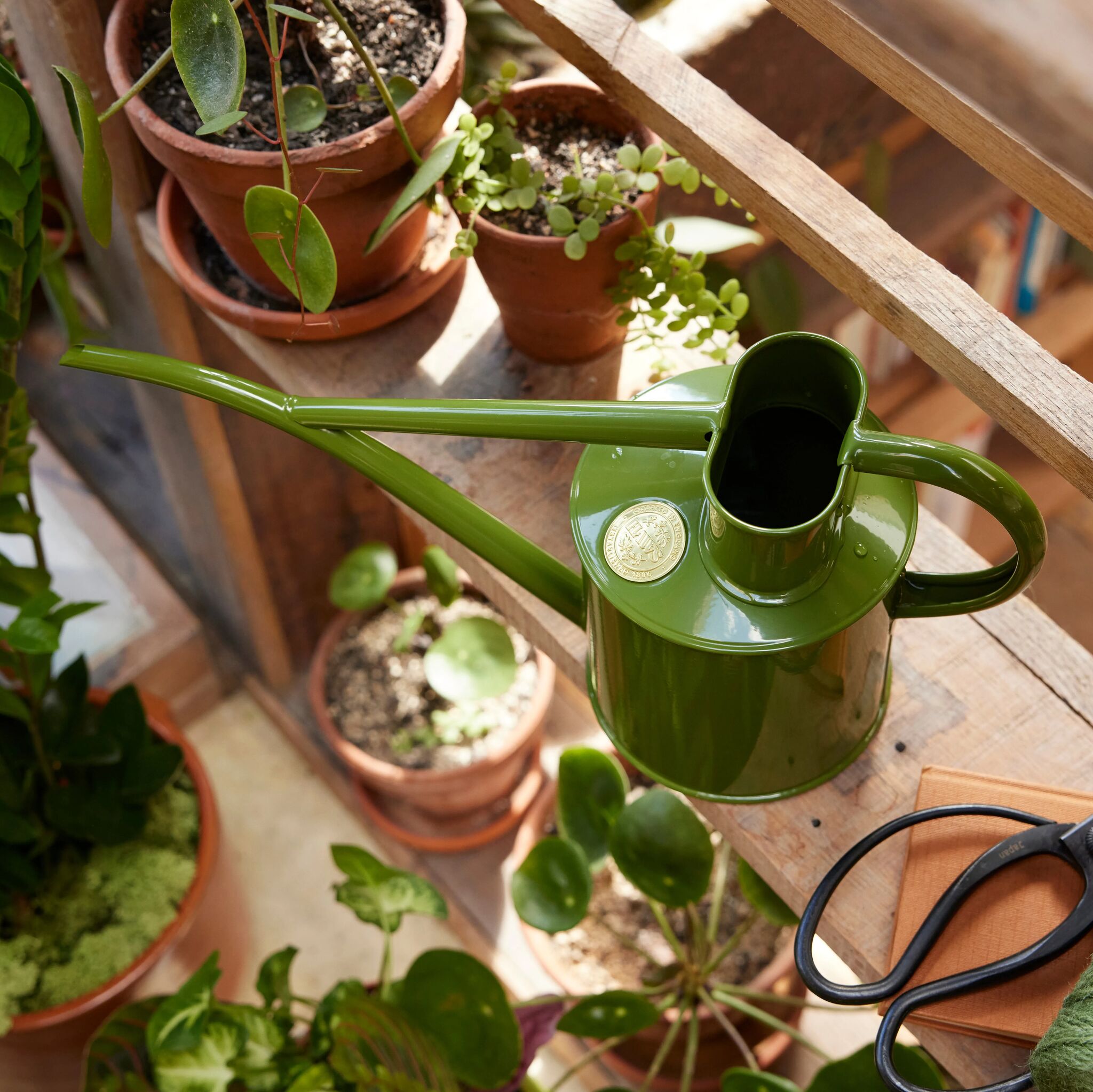 The Fazeley Flow - Houseplant Set - Fern Green & Brass - Two Pint