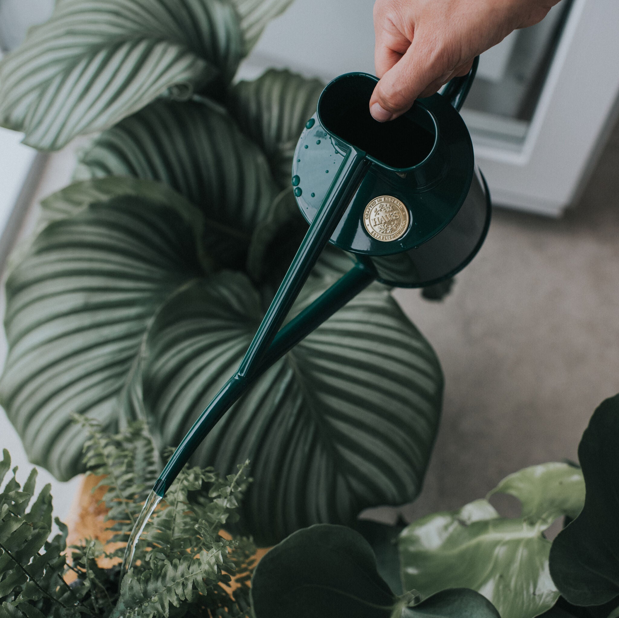 The Fazeley Flow - Houseplant Set - Green & Brass - Two Pint