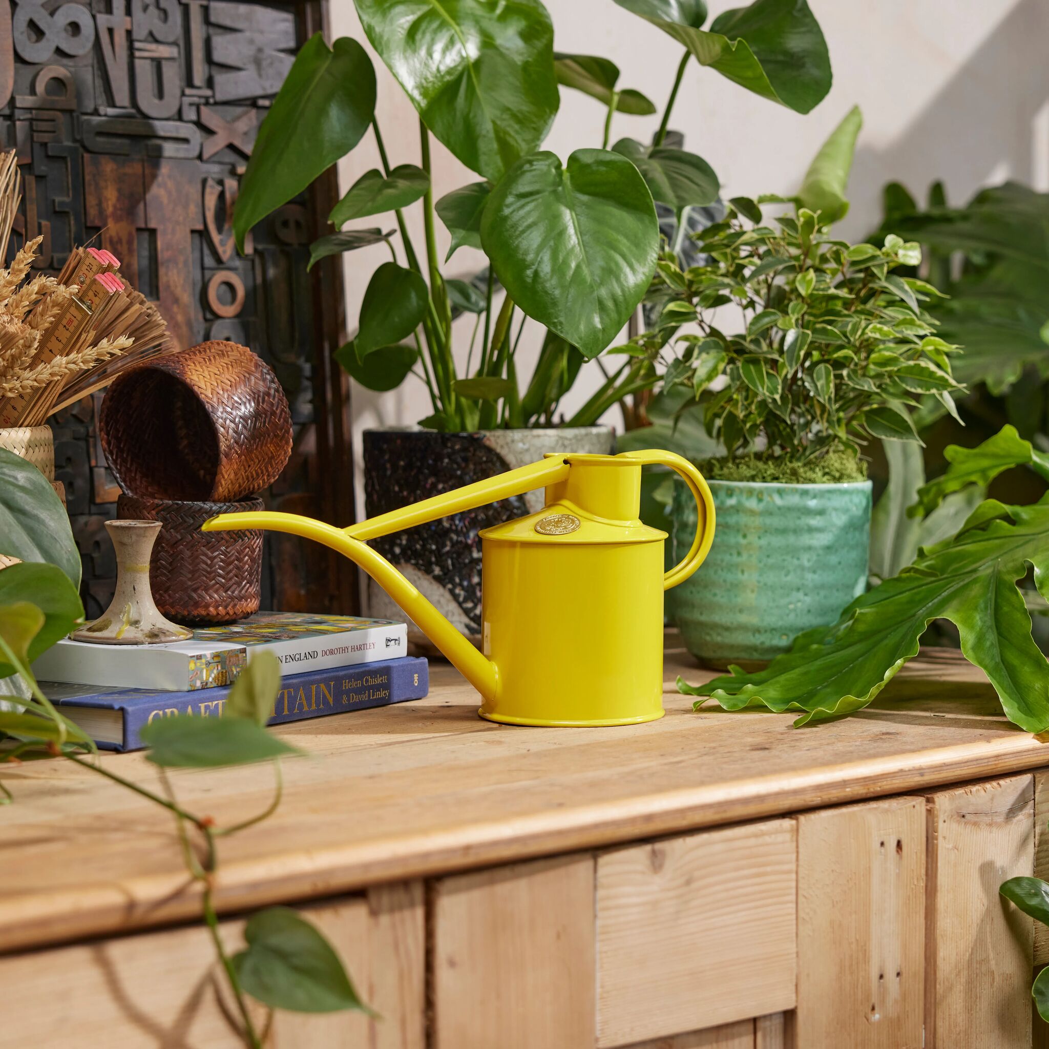 The Fazeley Flow - Houseplant Set - Lotus Yellow & Brass - Two Pint