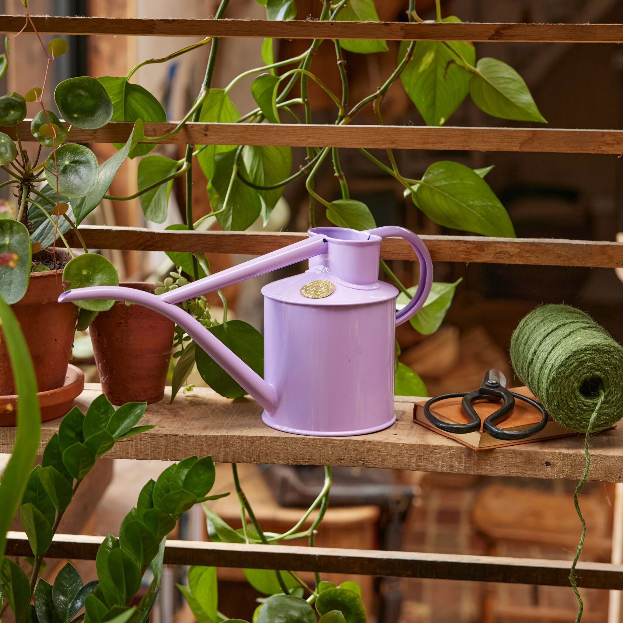 The Fazeley Flow - Houseplant Set - Misty Lilac & Brass - Two Pint