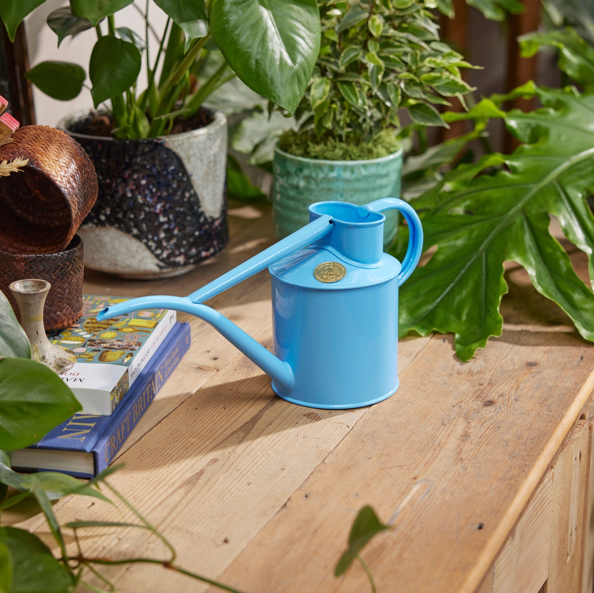 The Fazeley Flow - Houseplant Set - Summer Sky Blue & Brass - Two Pint