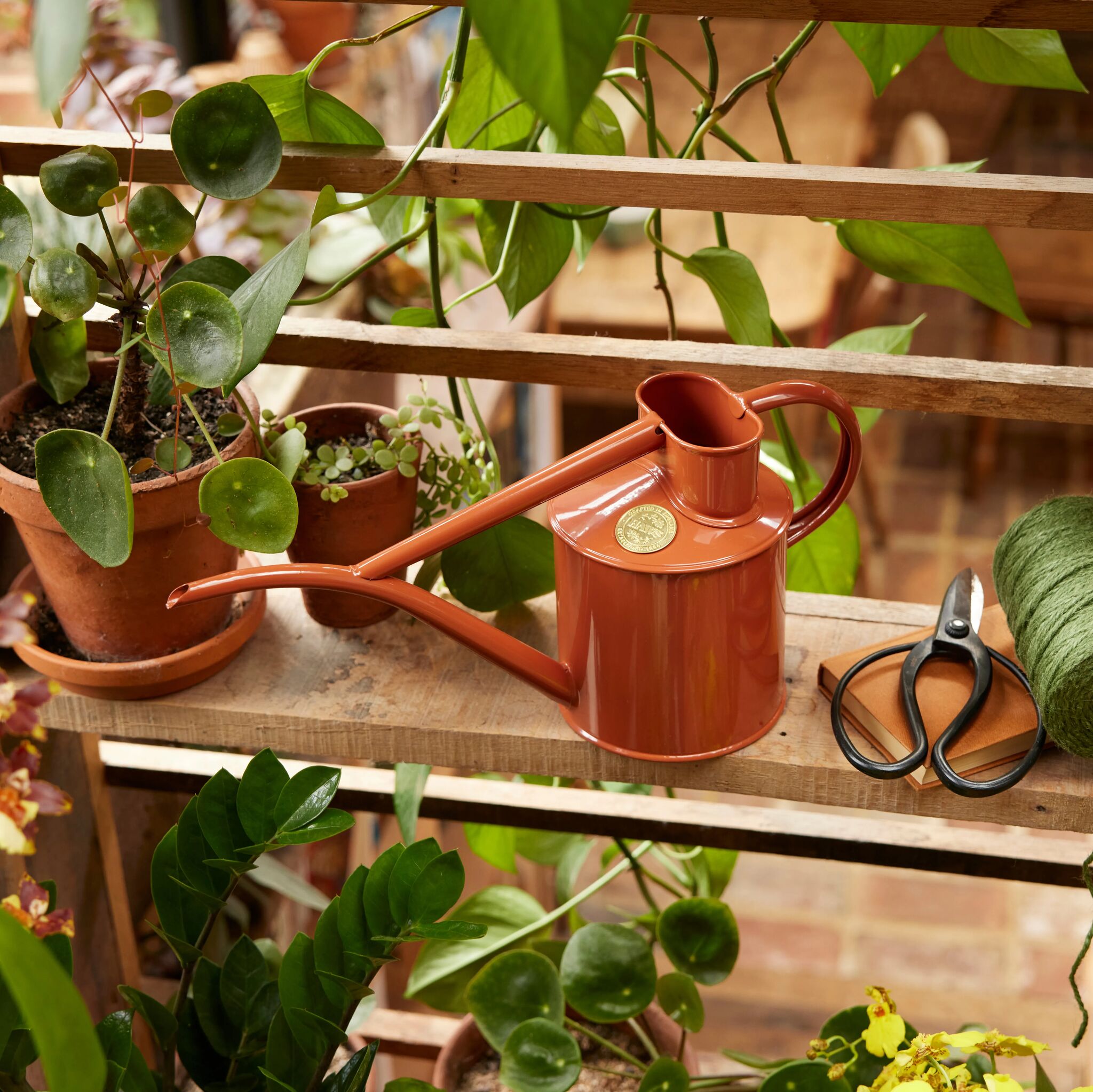 The Fazeley Flow - Houseplant Set - Terracotta Orange & Brass - Two Pint