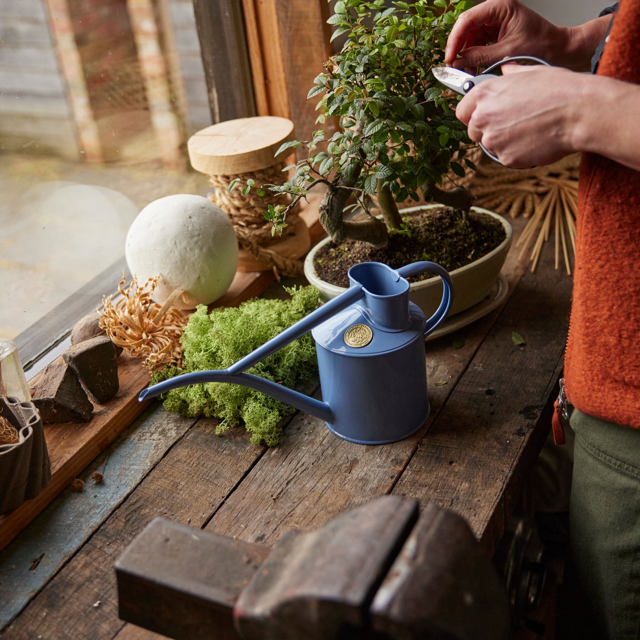 The Fazeley Flow - Houseplant Set - Bluebell Meadow & Copper - Two Pint