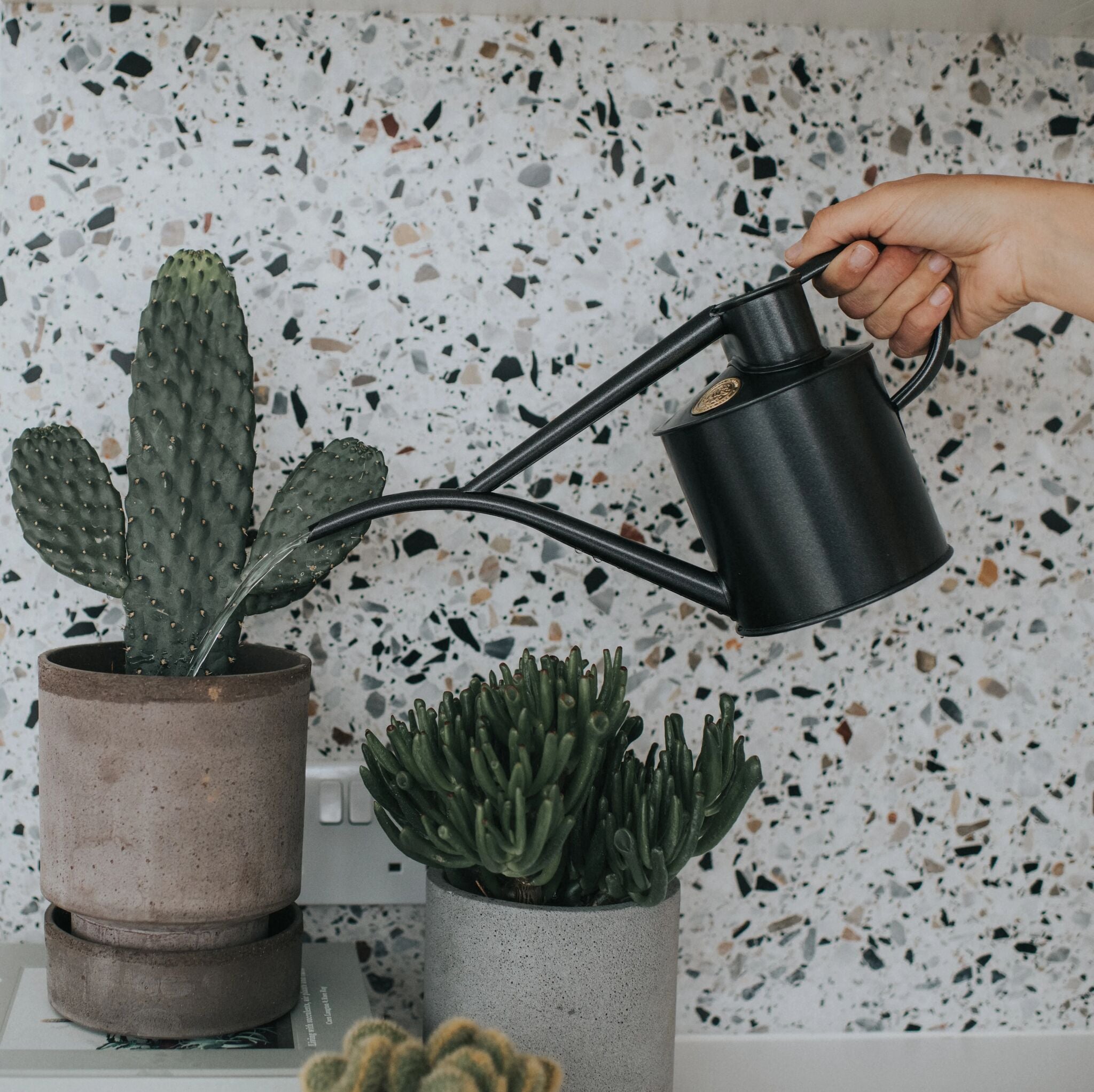 The Fazeley Flow - Houseplant Set - Graphite & Copper - Two Pint