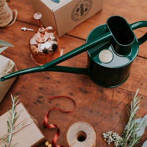 The Fazeley Flow - Houseplant Set - Green & Copper - Two Pint