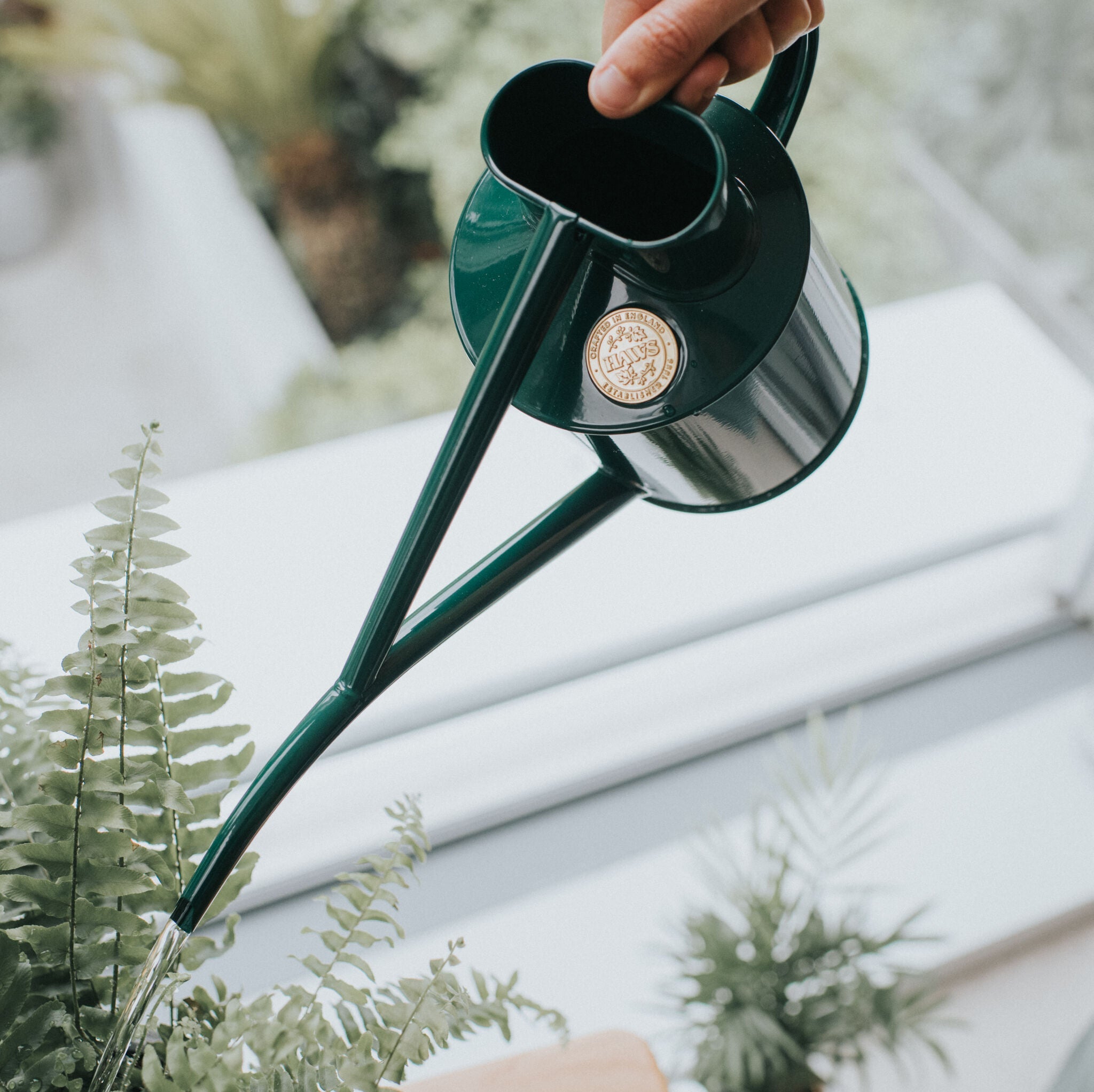 The Fazeley Flow - Houseplant Set - Green & Copper - Two Pint