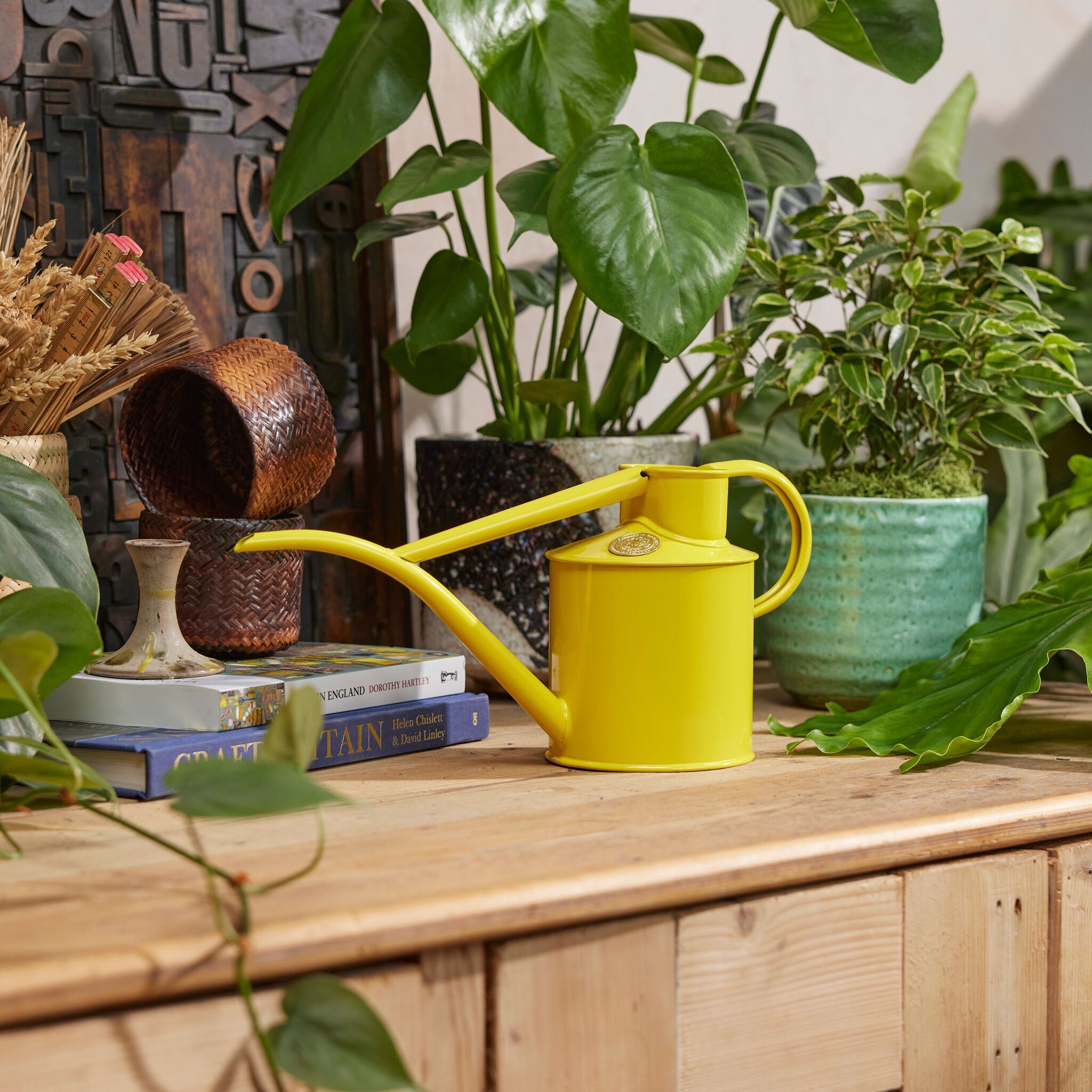 The Fazeley Flow - Houseplant Set - Lotus Yellow & Copper - Two Pint