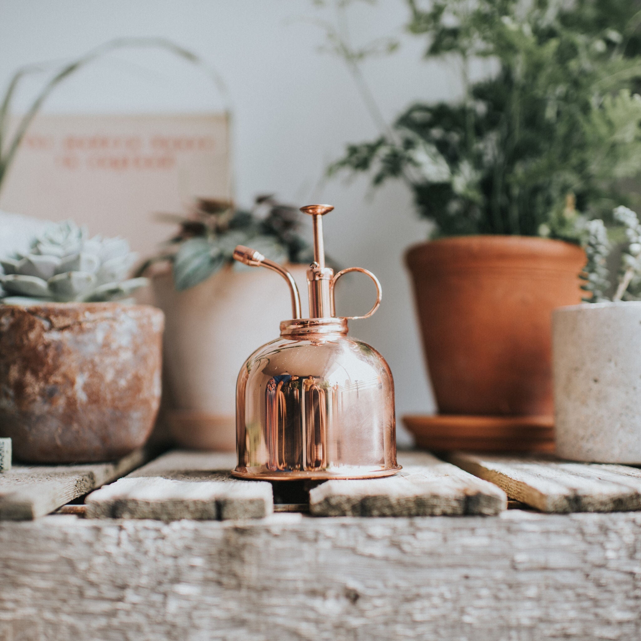 The Fazeley Flow - Houseplant Set - Terracotta Orange & Copper - Two Pint