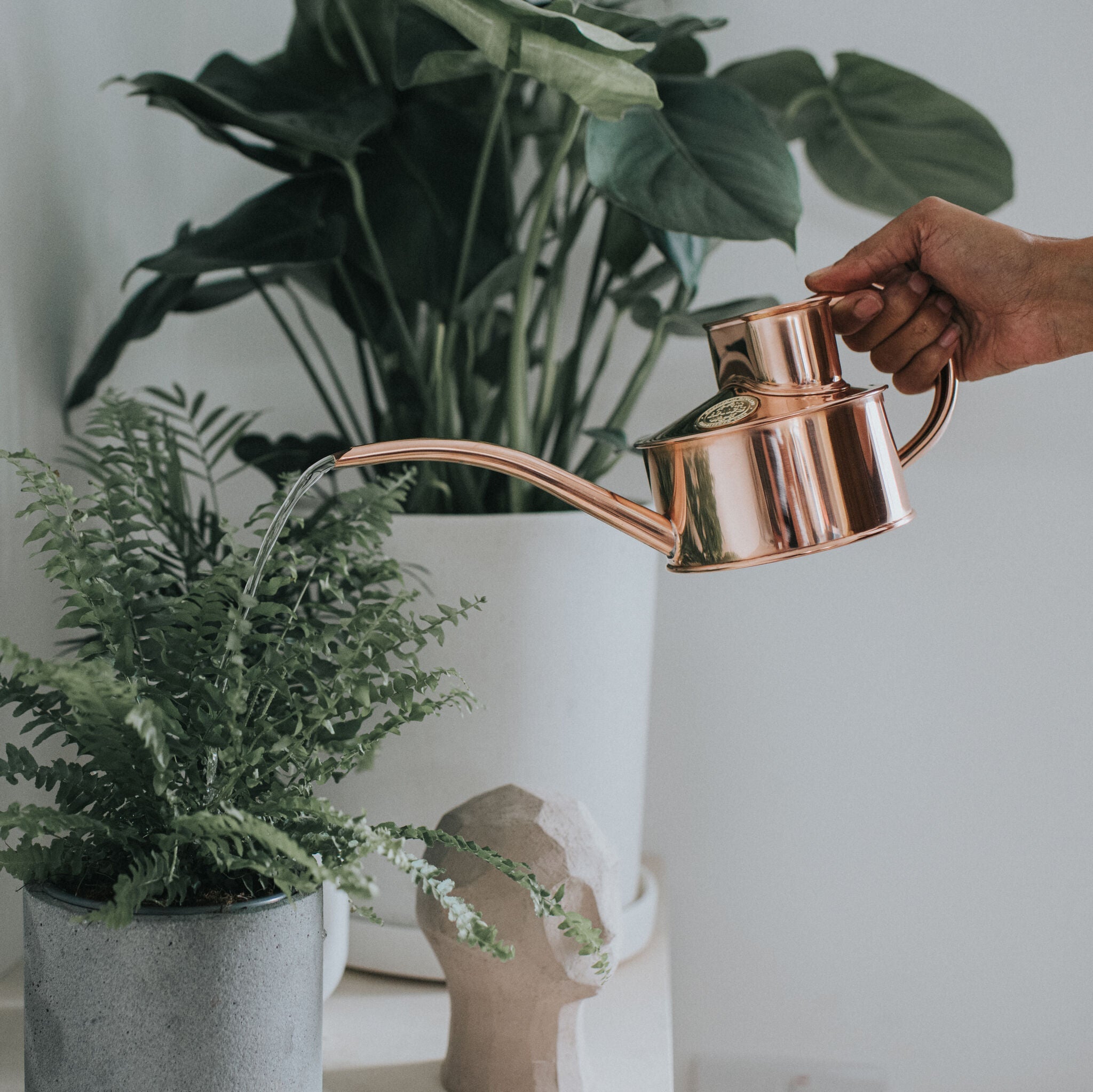 The Fazeley Flow - Houseplant Set - Copper - One Pint
