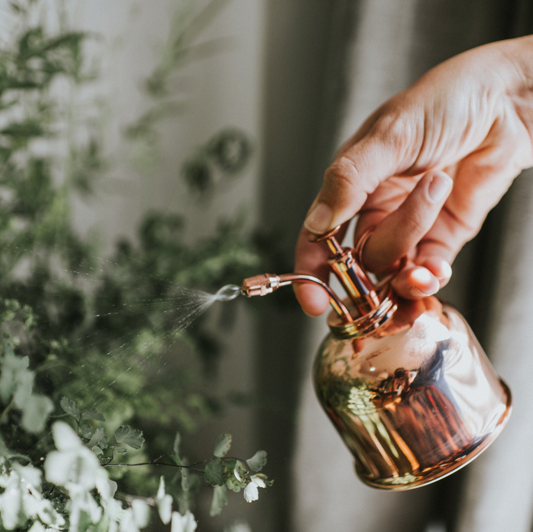 The Fazeley Flow - Houseplant Set - Copper - One Pint