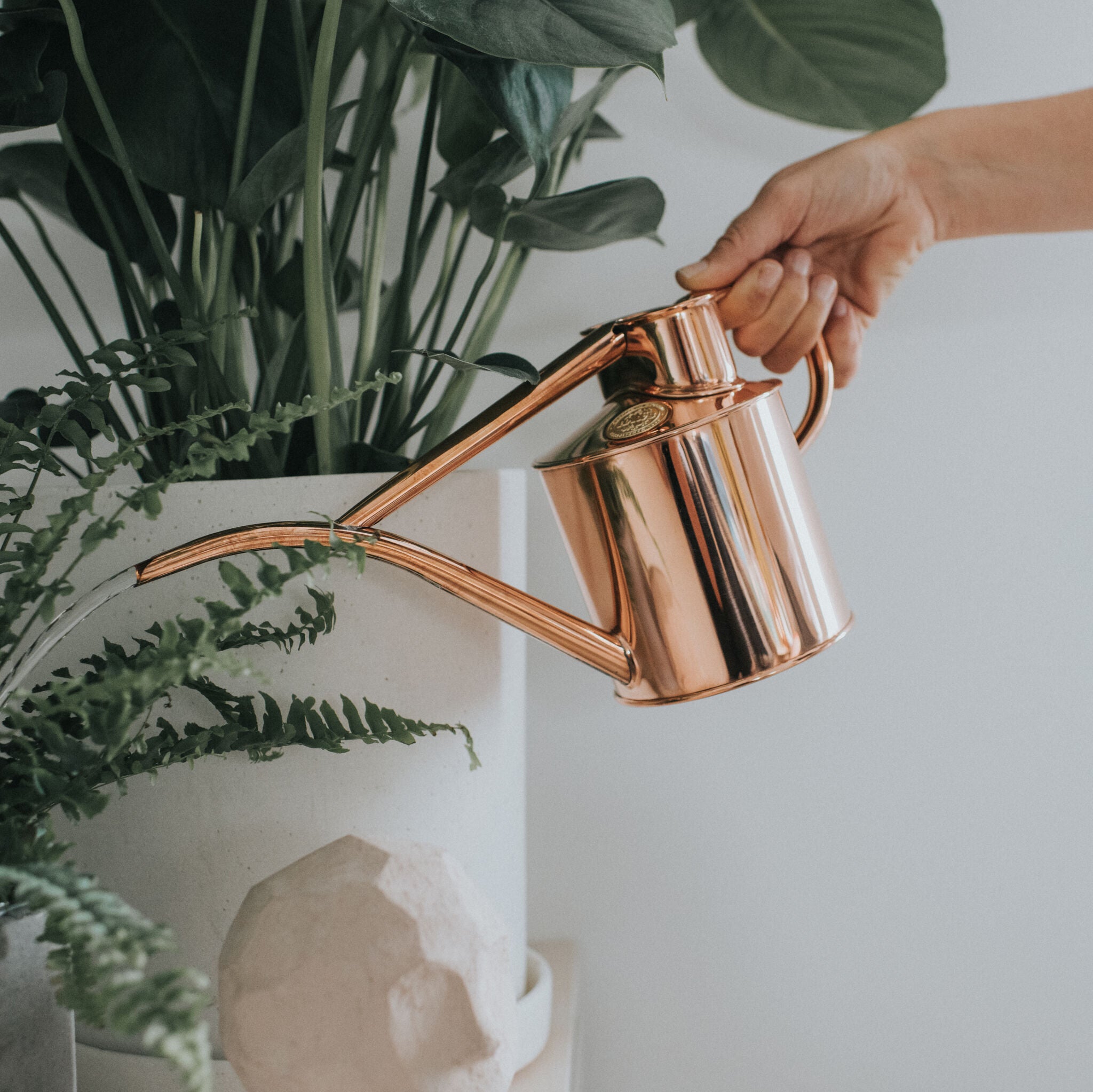 The Fazeley Flow - Houseplant Set - Copper & Brass - Two Pint