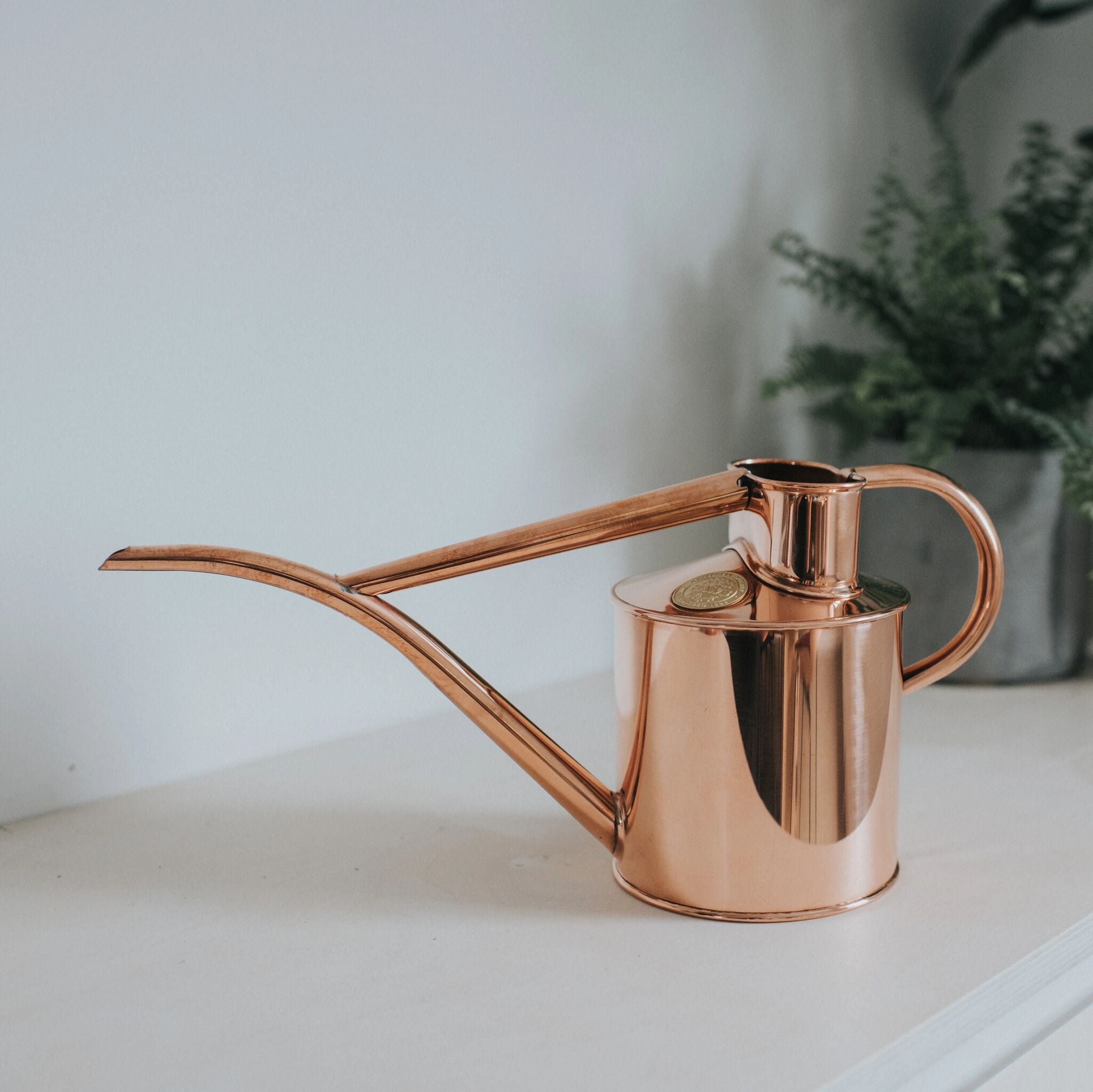 The Fazeley Flow - Houseplant Set - Copper - Two Pint