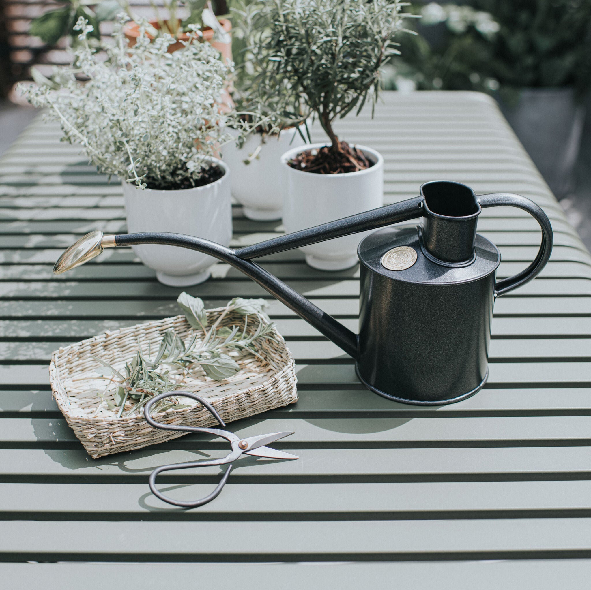 The Rowley Ripple - Houseplant Set - Graphite & Brass - Two Pint