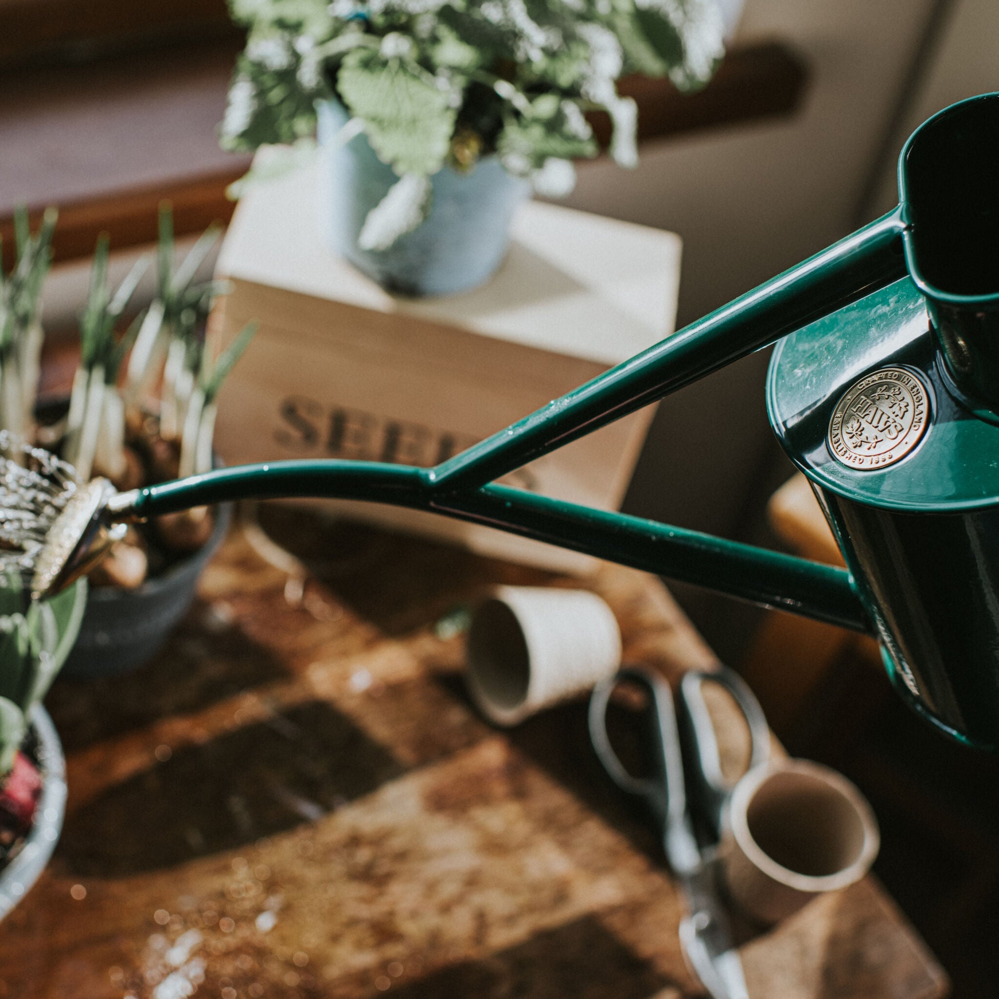 The Rowley Ripple - Houseplant Set - Green & Brass - Two Pint