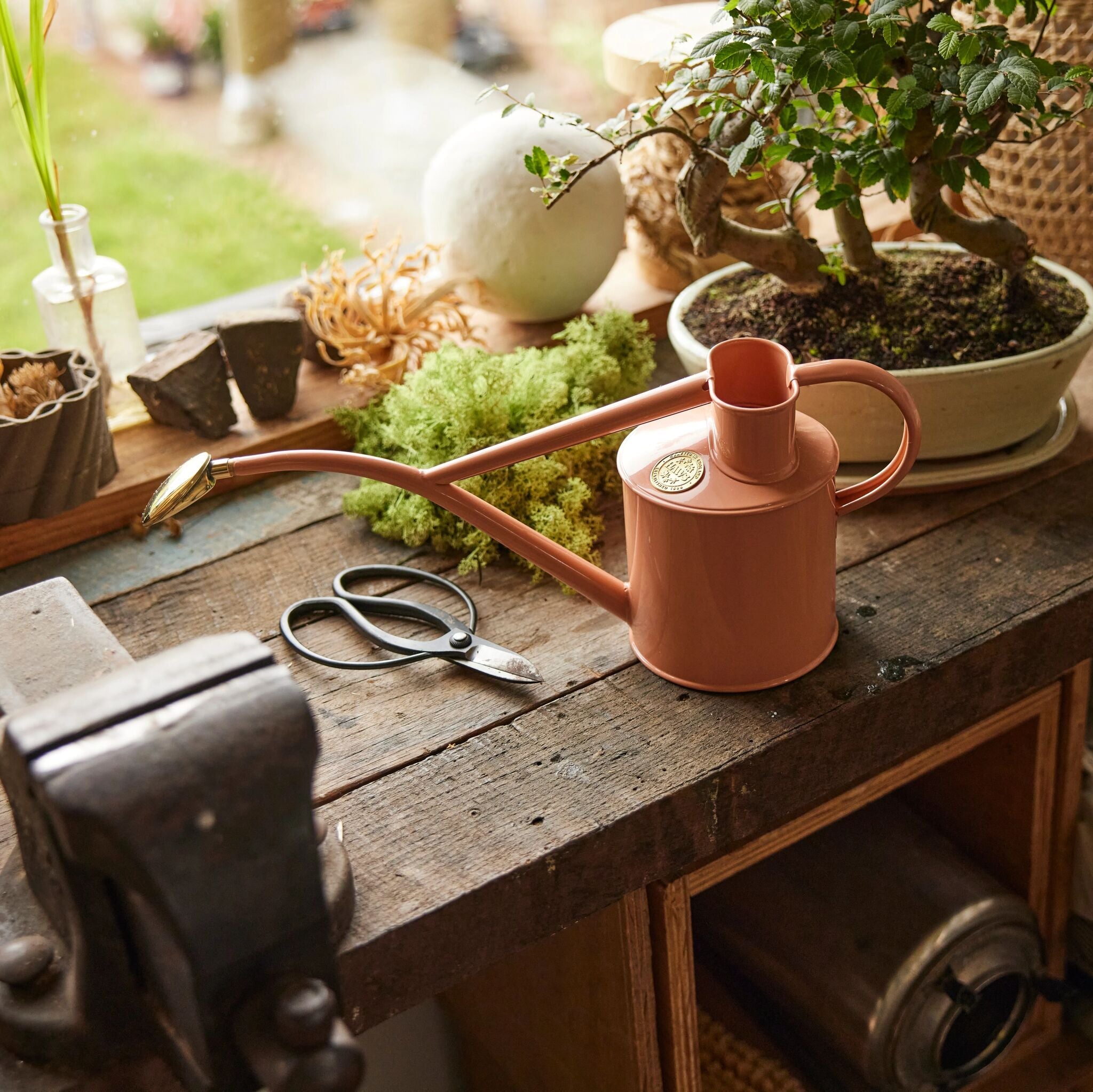The Rowley Ripple - Houseplant Set - Pink Clay & Brass - Two Pint