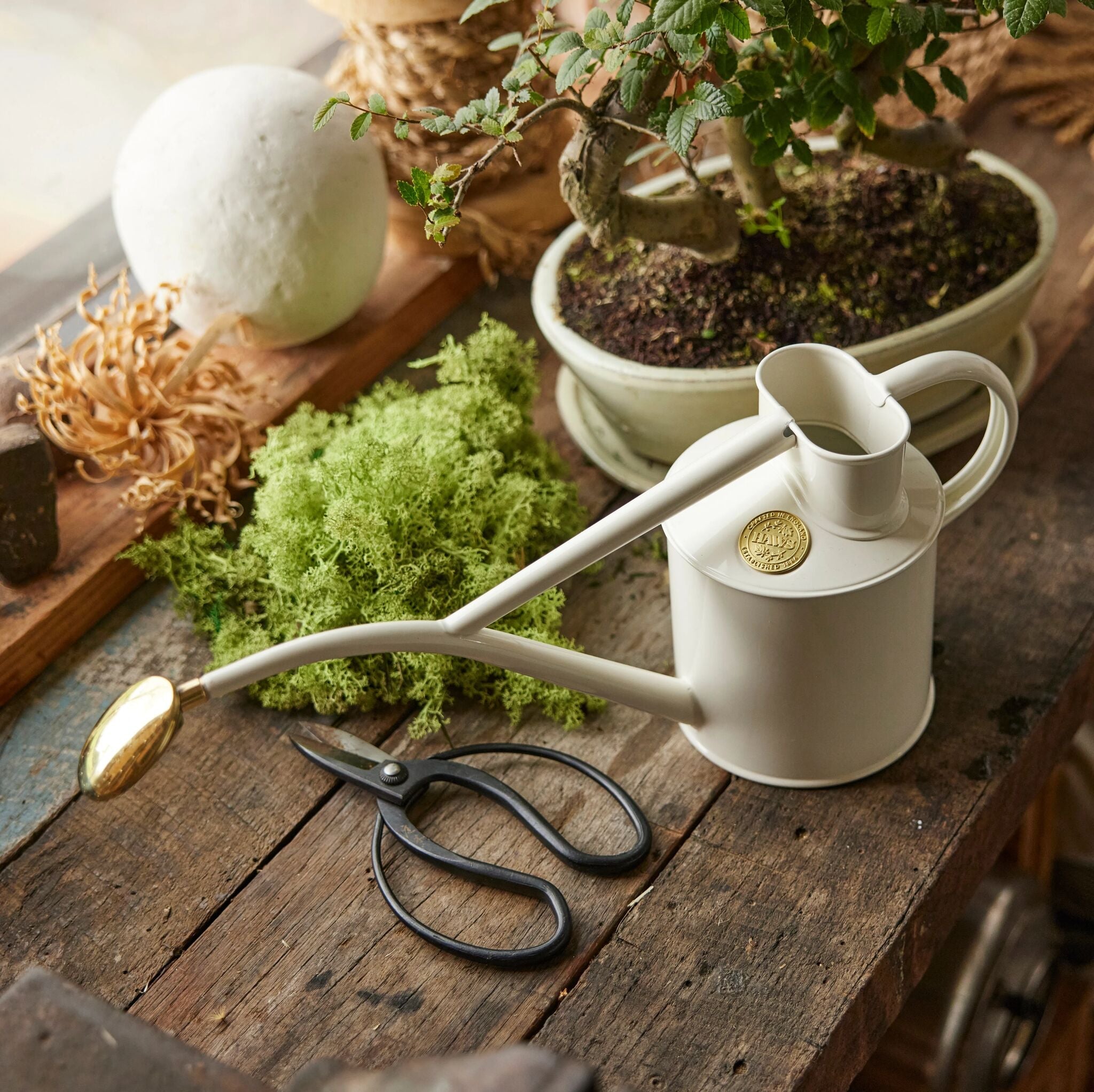 The Rowley Ripple - Houseplant Set - White Granite & Brass - Two Pint