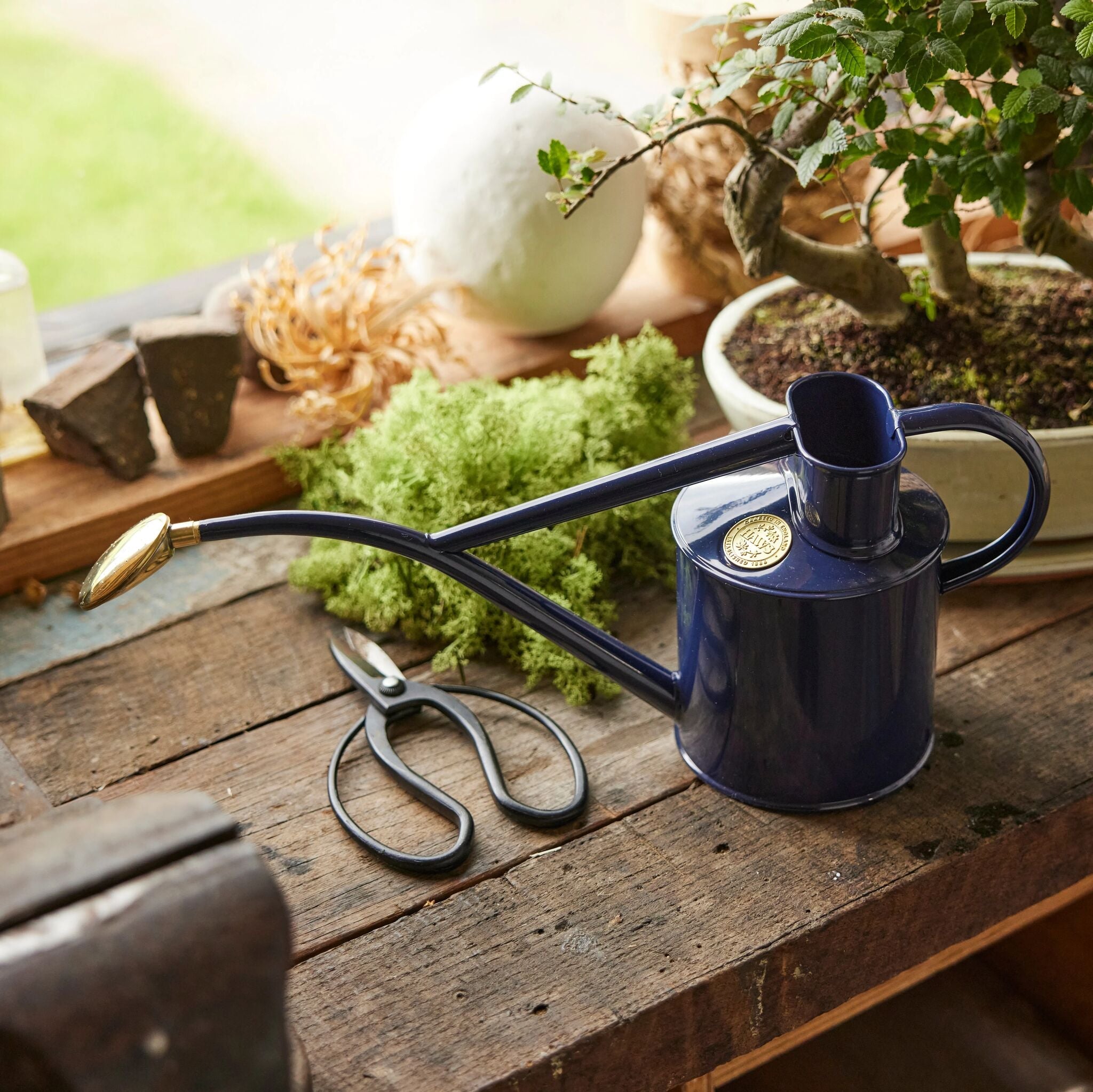 The Rowley Ripple - Houseplant Set - British Navy Blue & Copper - Two Pint