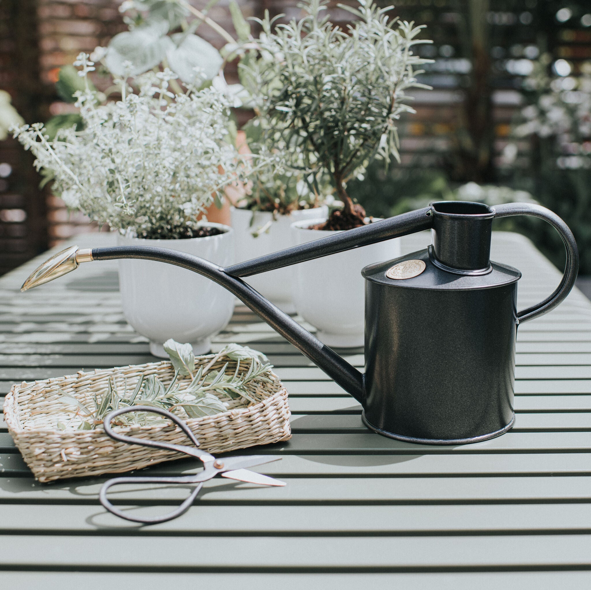 The Rowley Ripple - Houseplant Set - Graphite & Copper - Two Pint