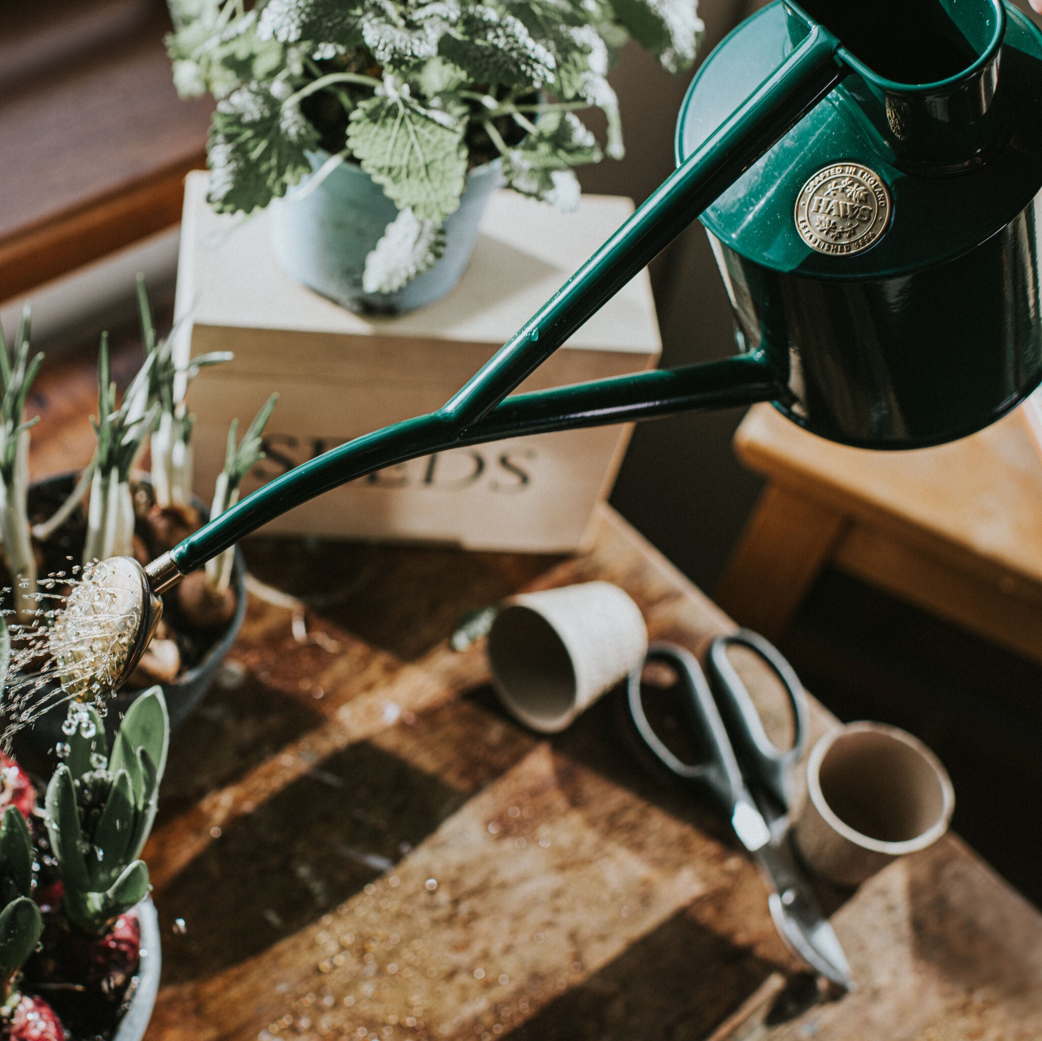 The Rowley Ripple - Houseplant Set - Green & Copper - Two Pint