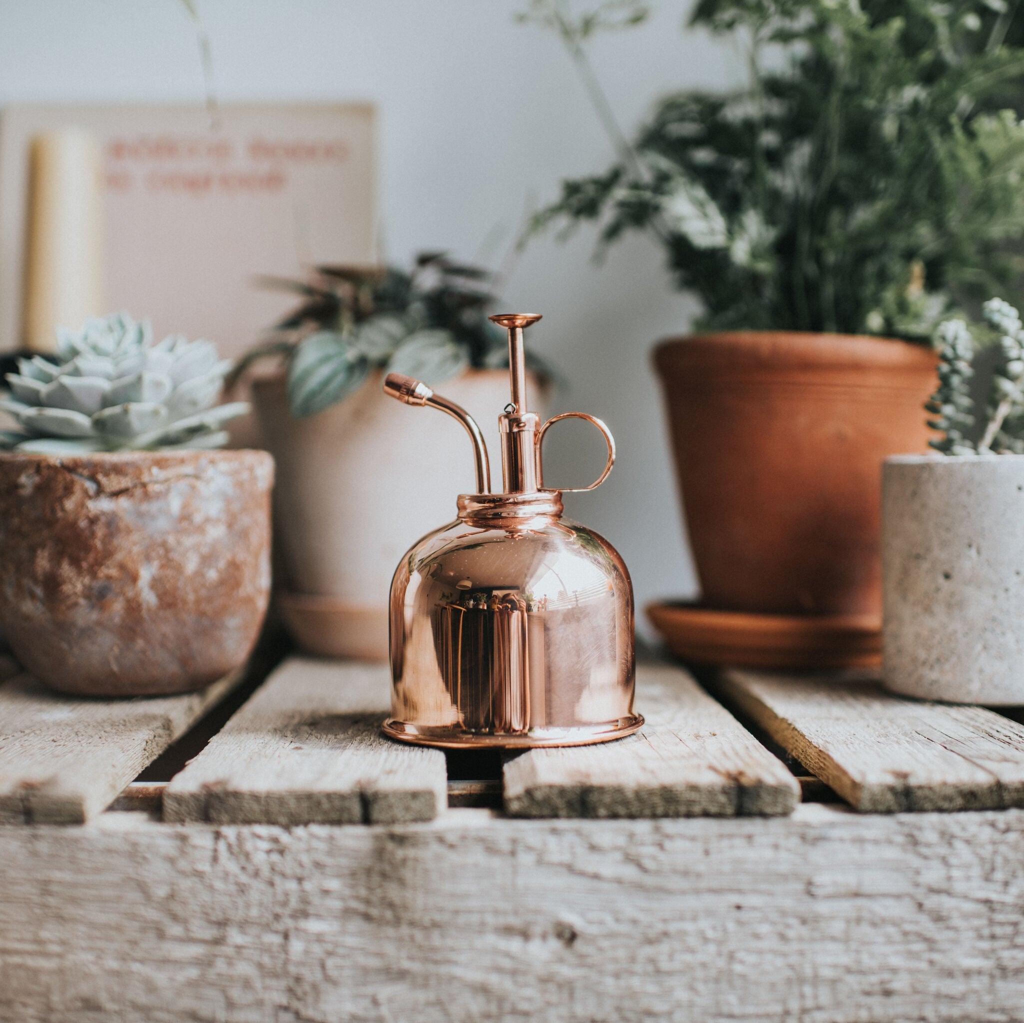 The Rowley Ripple - Houseplant Set - Pink Clay & Copper - Two Pint