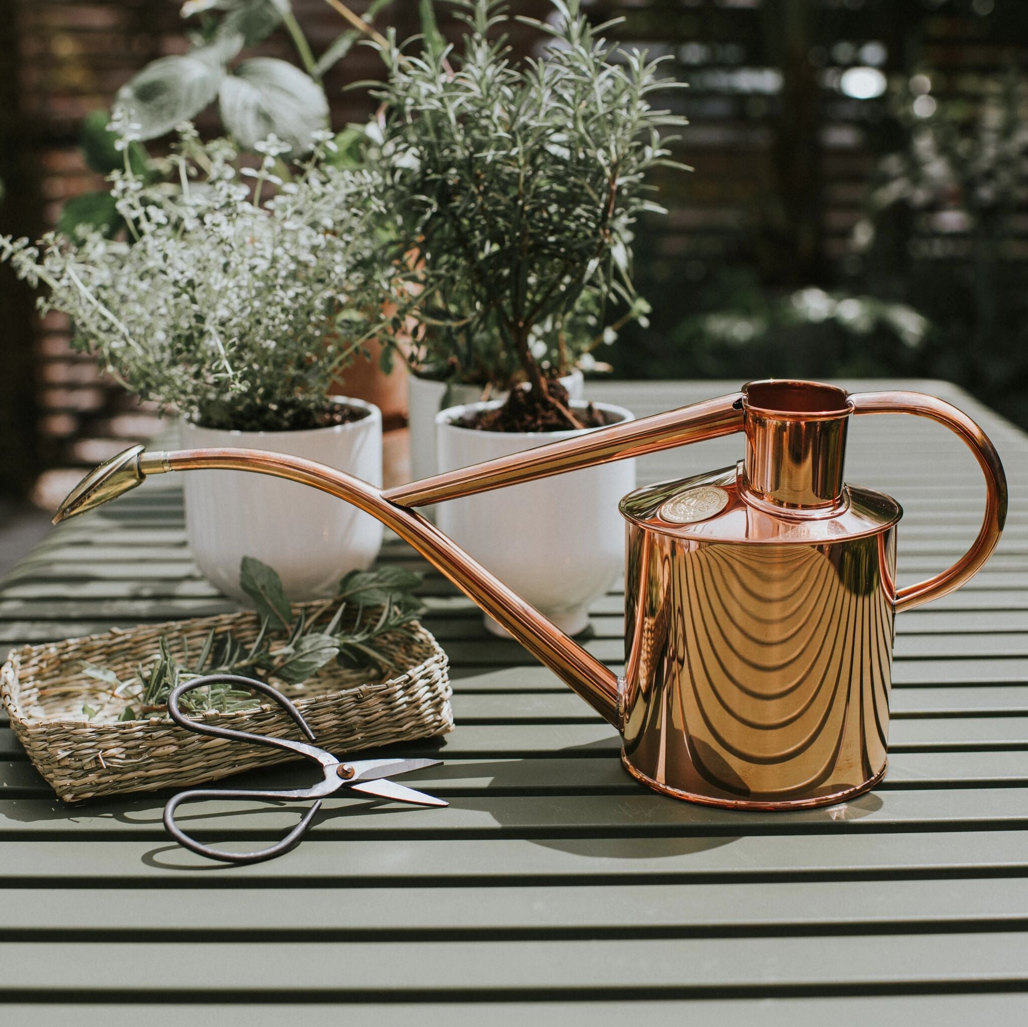 The Rowley Ripple - Houseplant Set - Copper - Two Pint